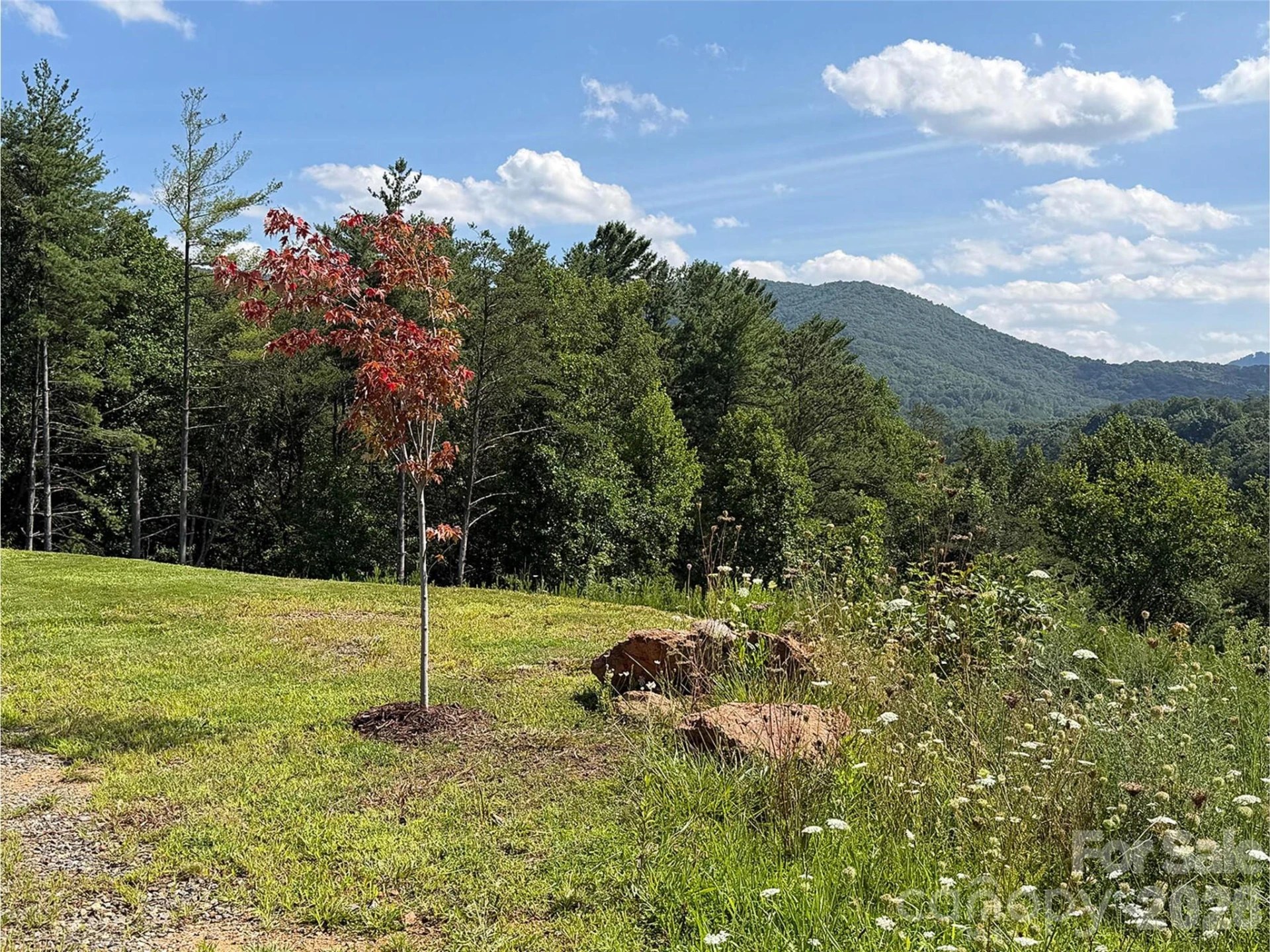 165 Riverbend Forest Drive #11 - Photo 4