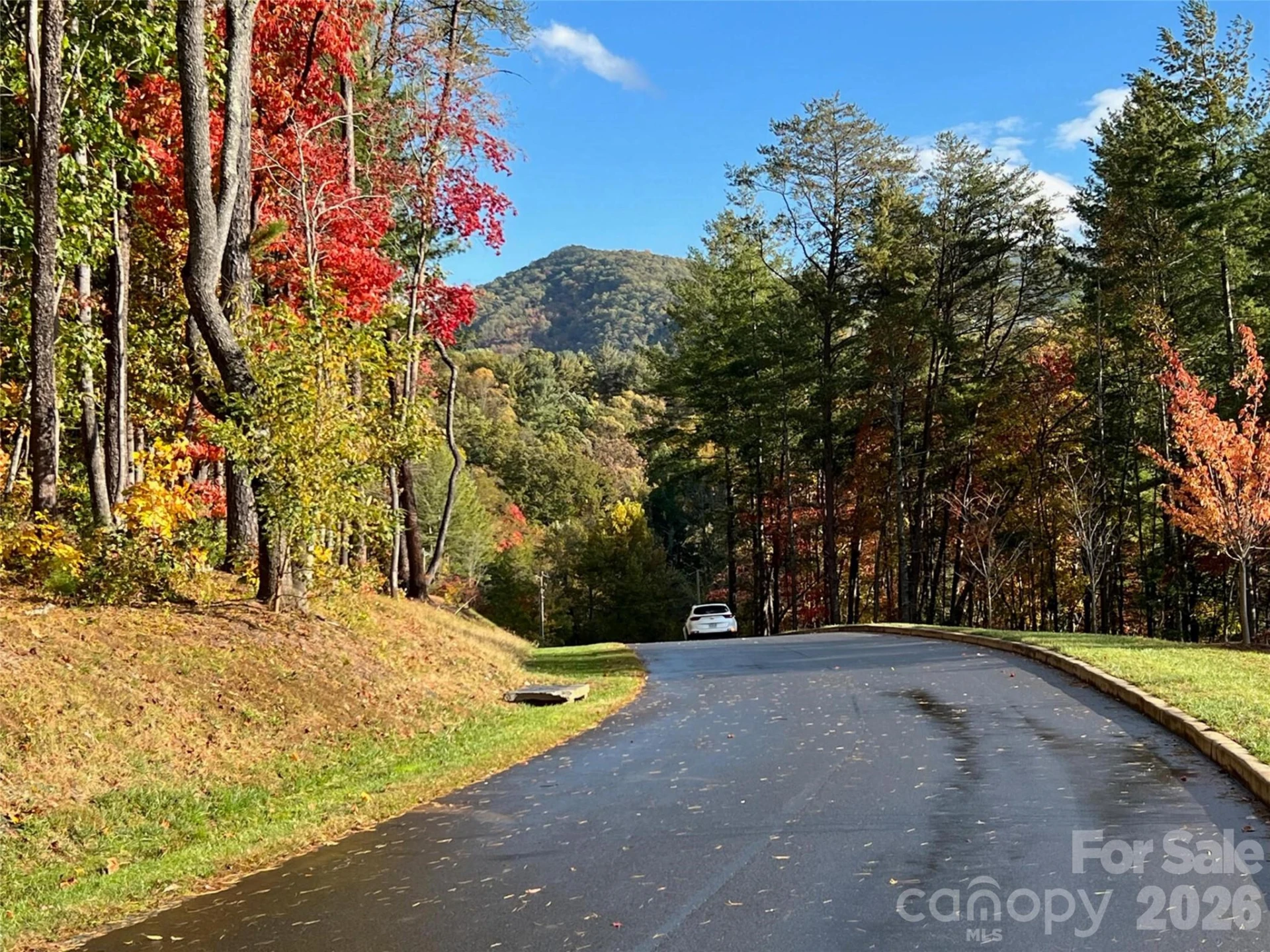 165 Riverbend Forest Drive #11 - Photo 5