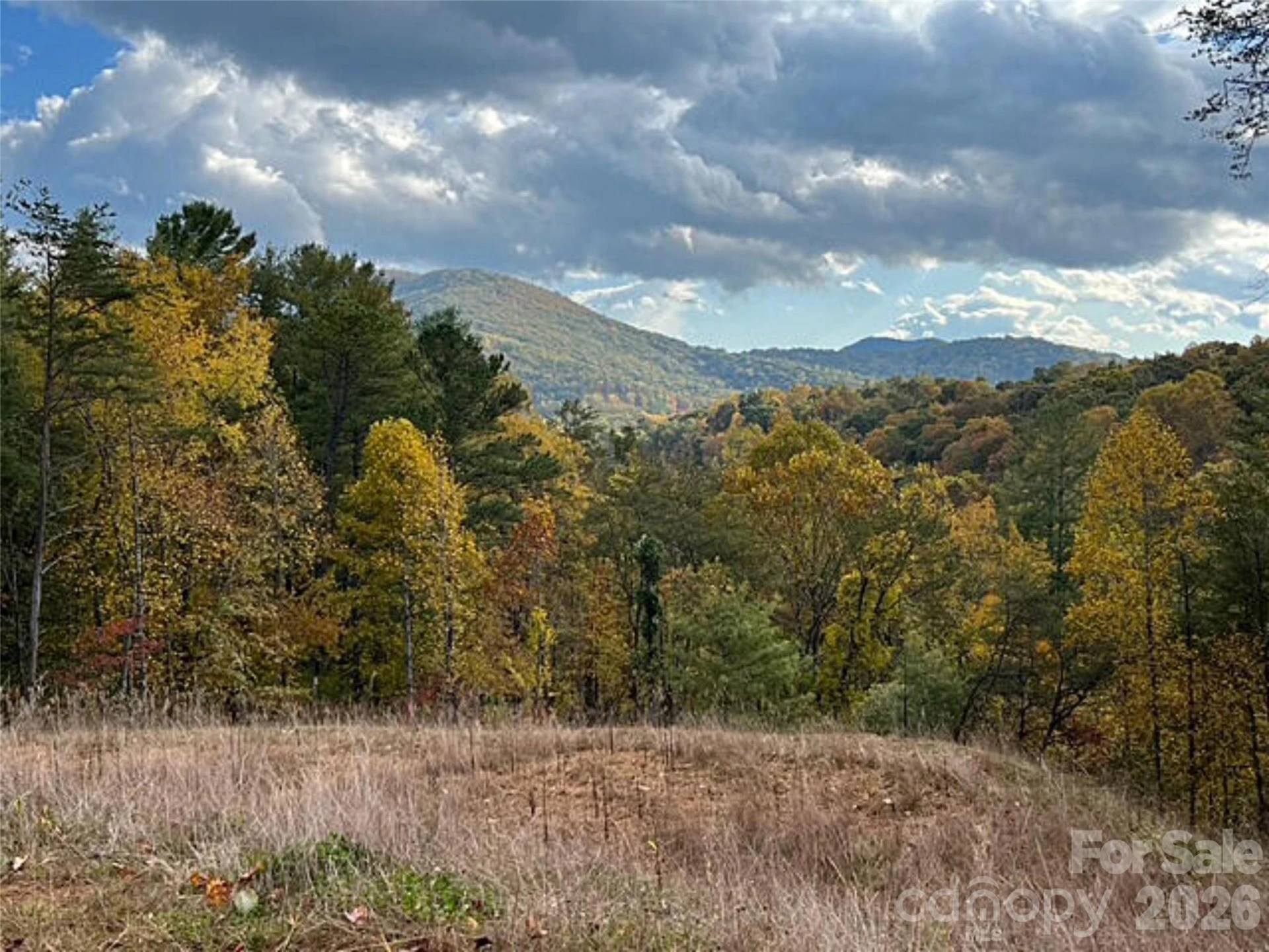 165 Riverbend Forest Drive #11 - Photo 22