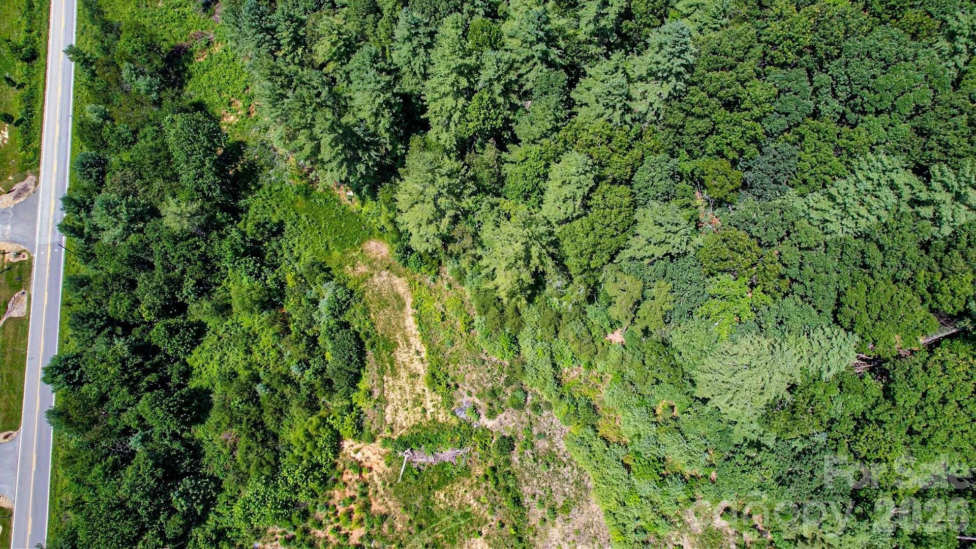 99999 Mills Gap Road - Photo 10