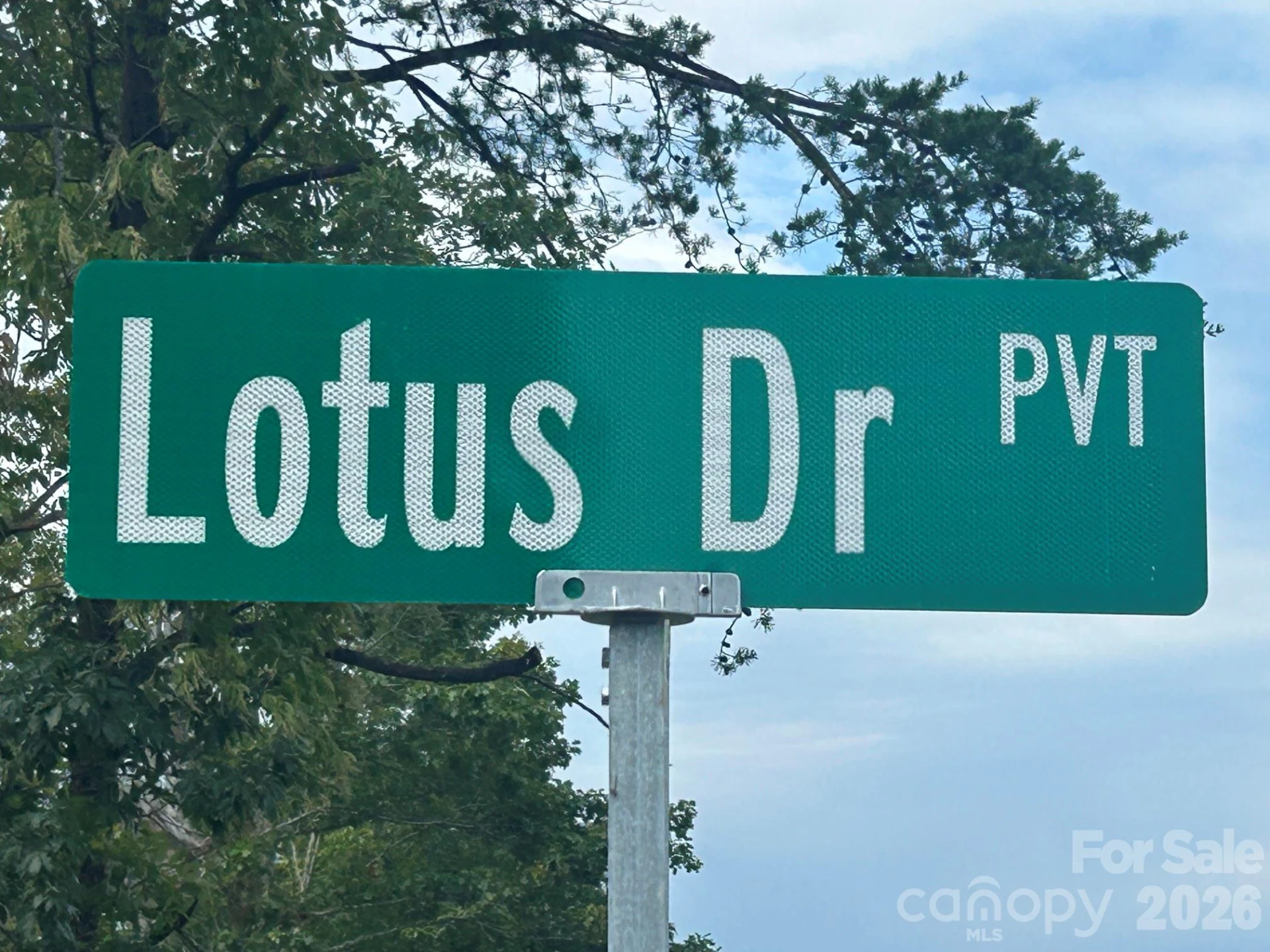 V/L Lotus Drive #19 - Photo 4