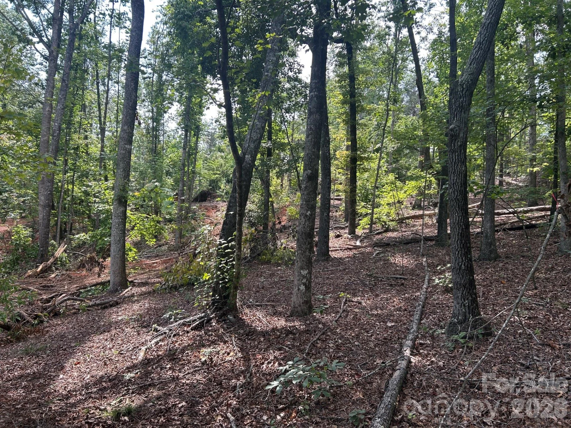 V/L Lotus Drive #19 - Photo 12