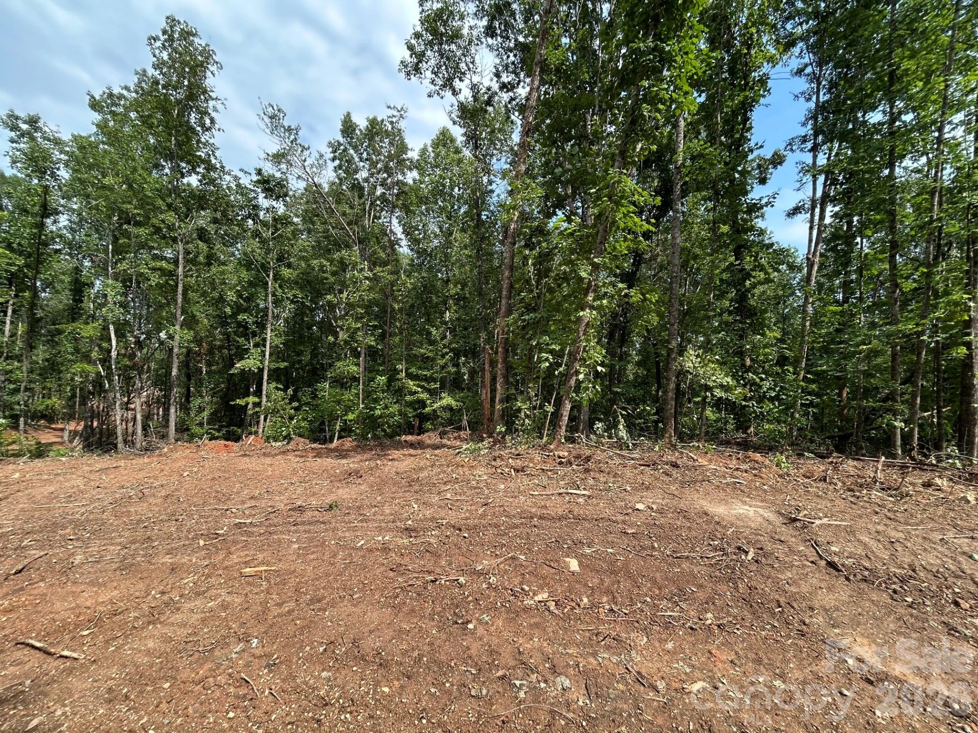 V/L Lotus Drive #19 - Photo 19