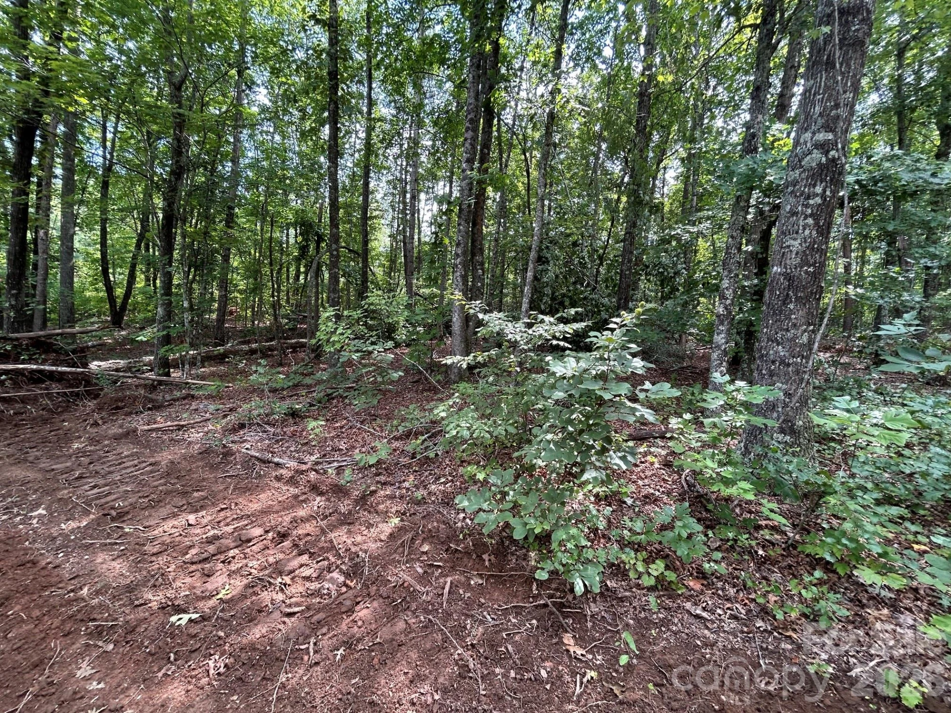 V/L Lotus Drive #19 - Photo 33