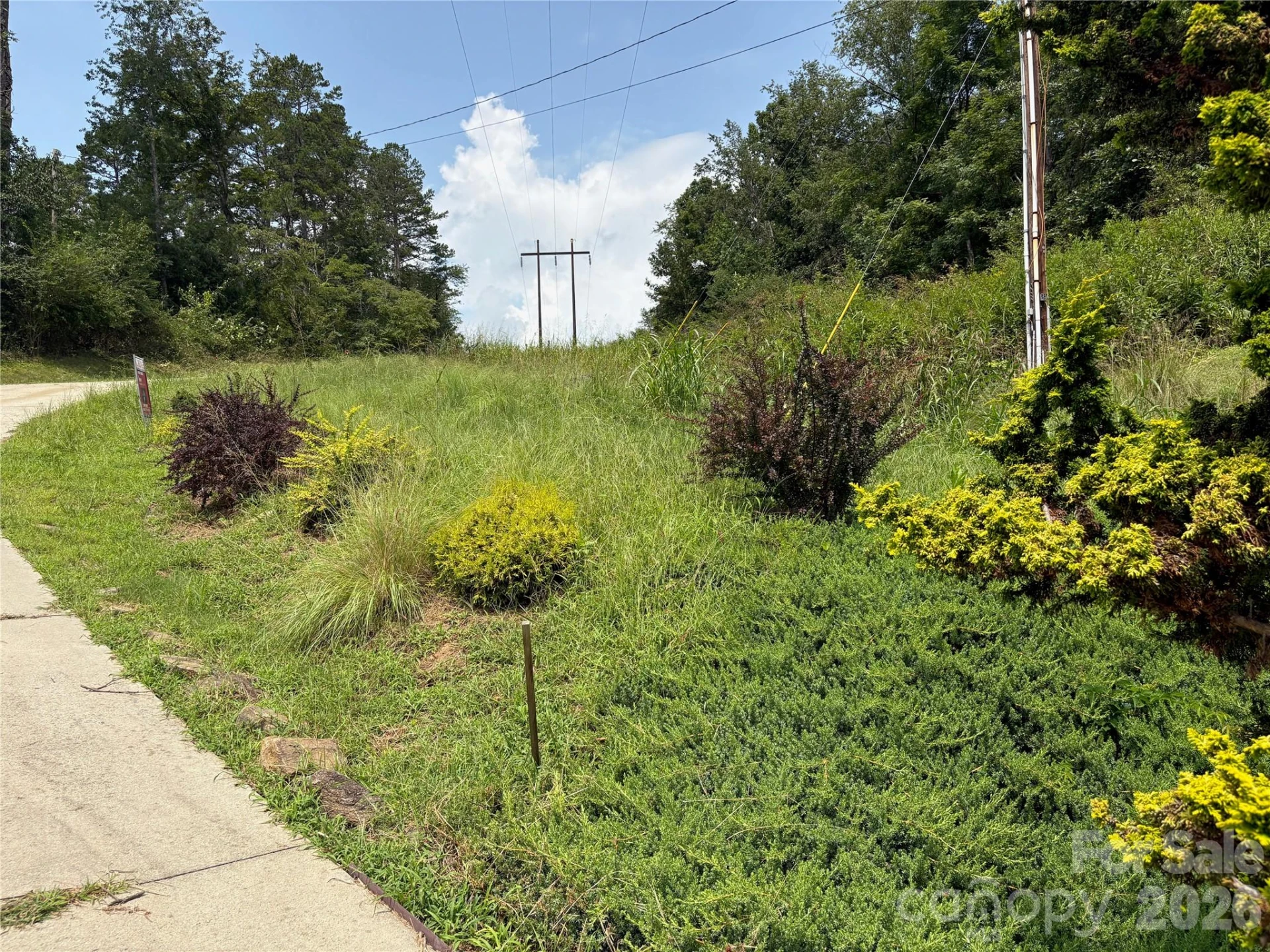9999 Wescott Way - Photo 9
