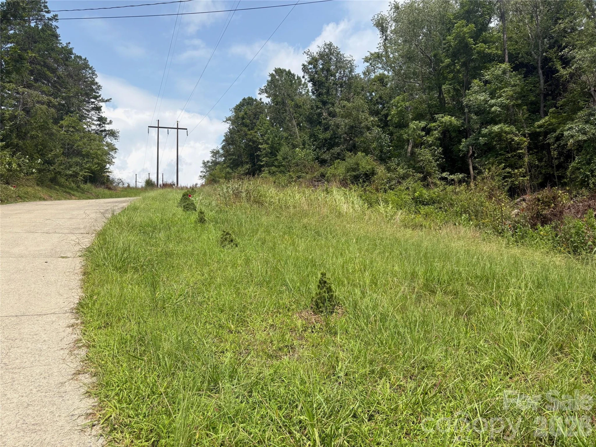9999 Wescott Way - Photo 16