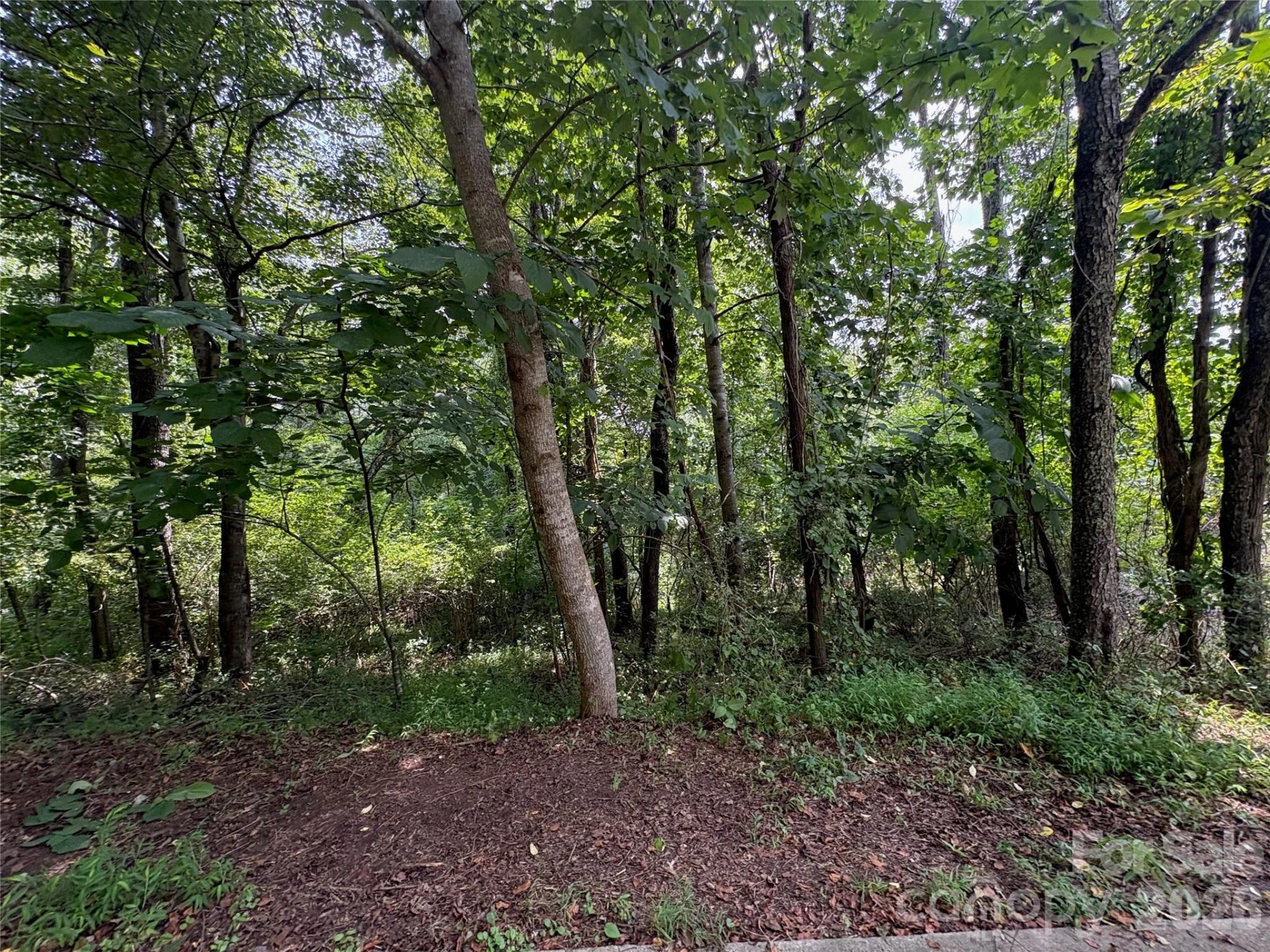 9999 Wescott Way - Photo 29