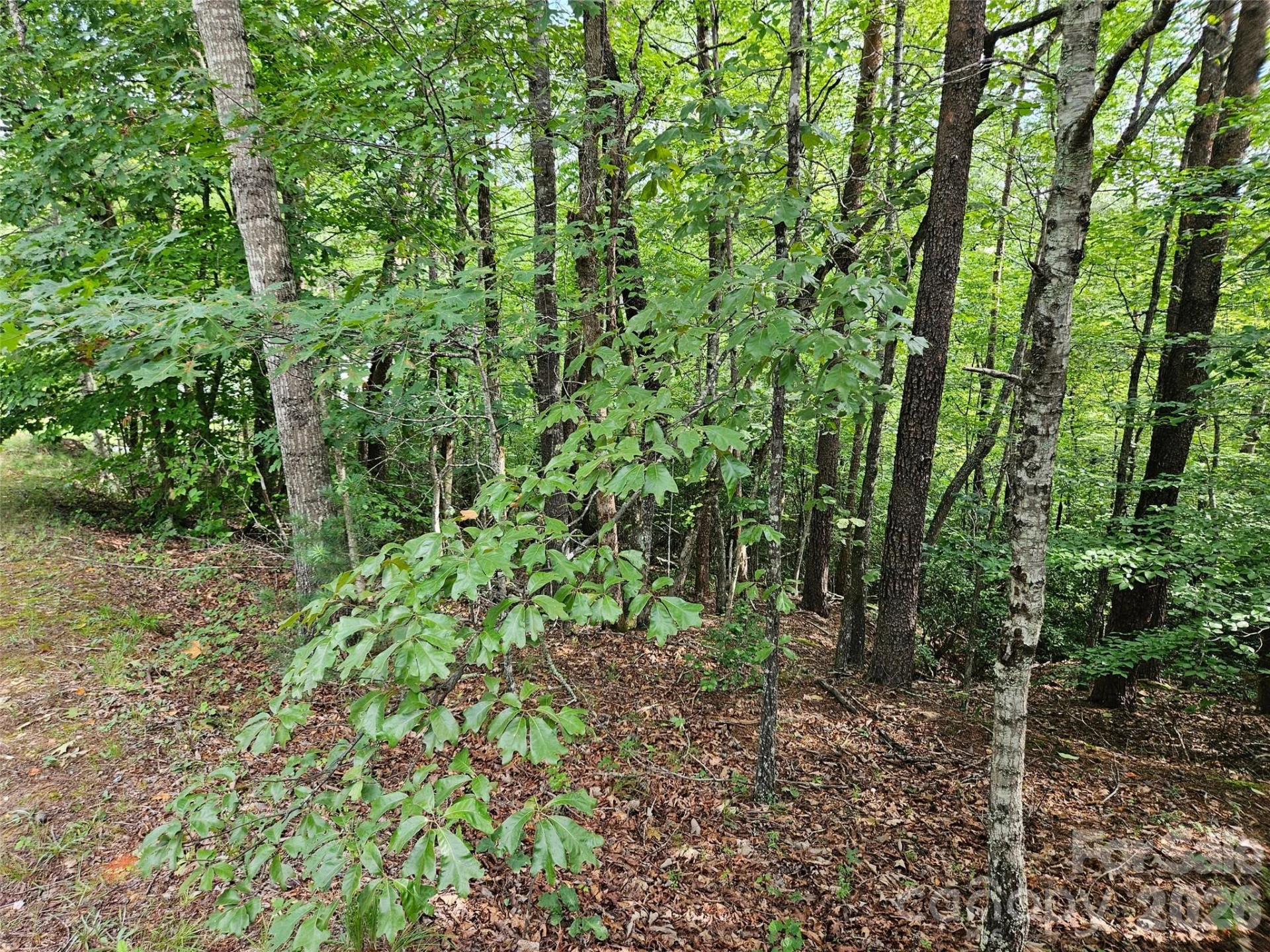 0 Hawks Terrace #313 - Photo 2
