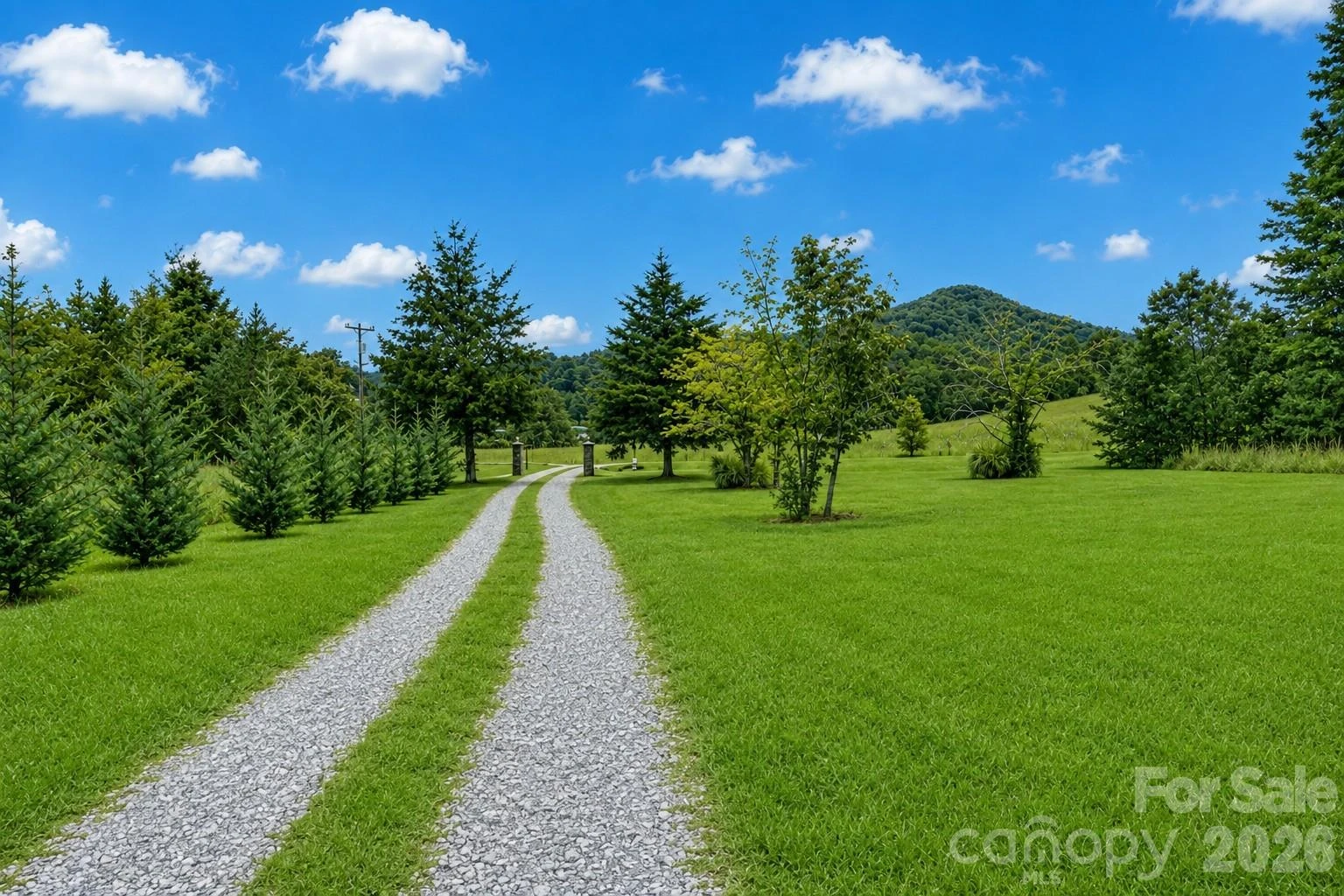 2428 Old Fort Sugar Hill Road - Photo 2