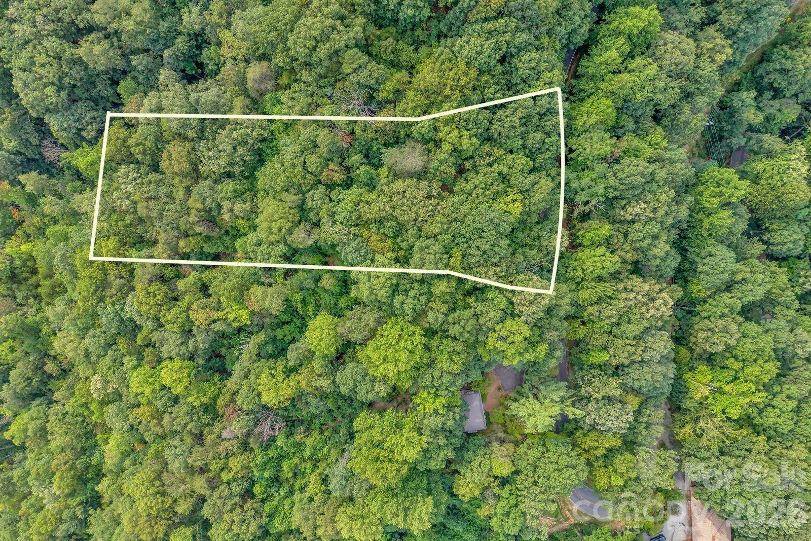 00 Hogback Mountain Road #63 - Photo 2