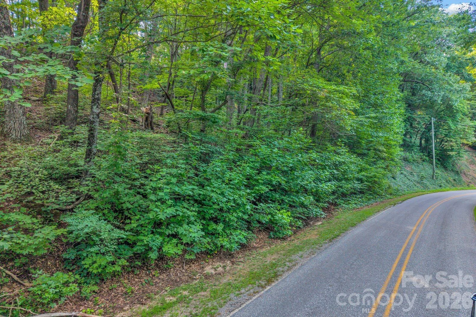 00 Hogback Mountain Road #63 - Photo 4