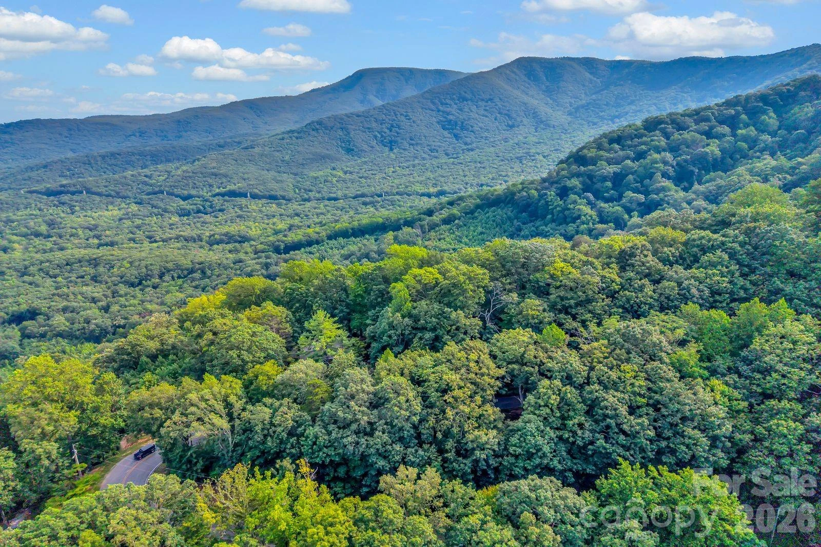 00 Hogback Mountain Road #63 - Photo 5