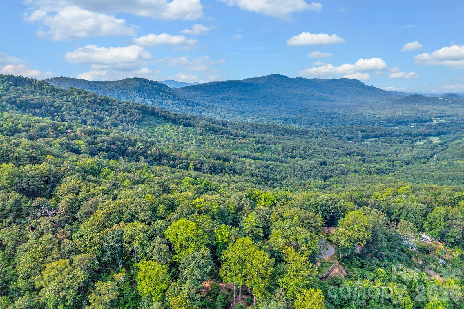 00 Hogback Mountain Road #63 - Photo 6