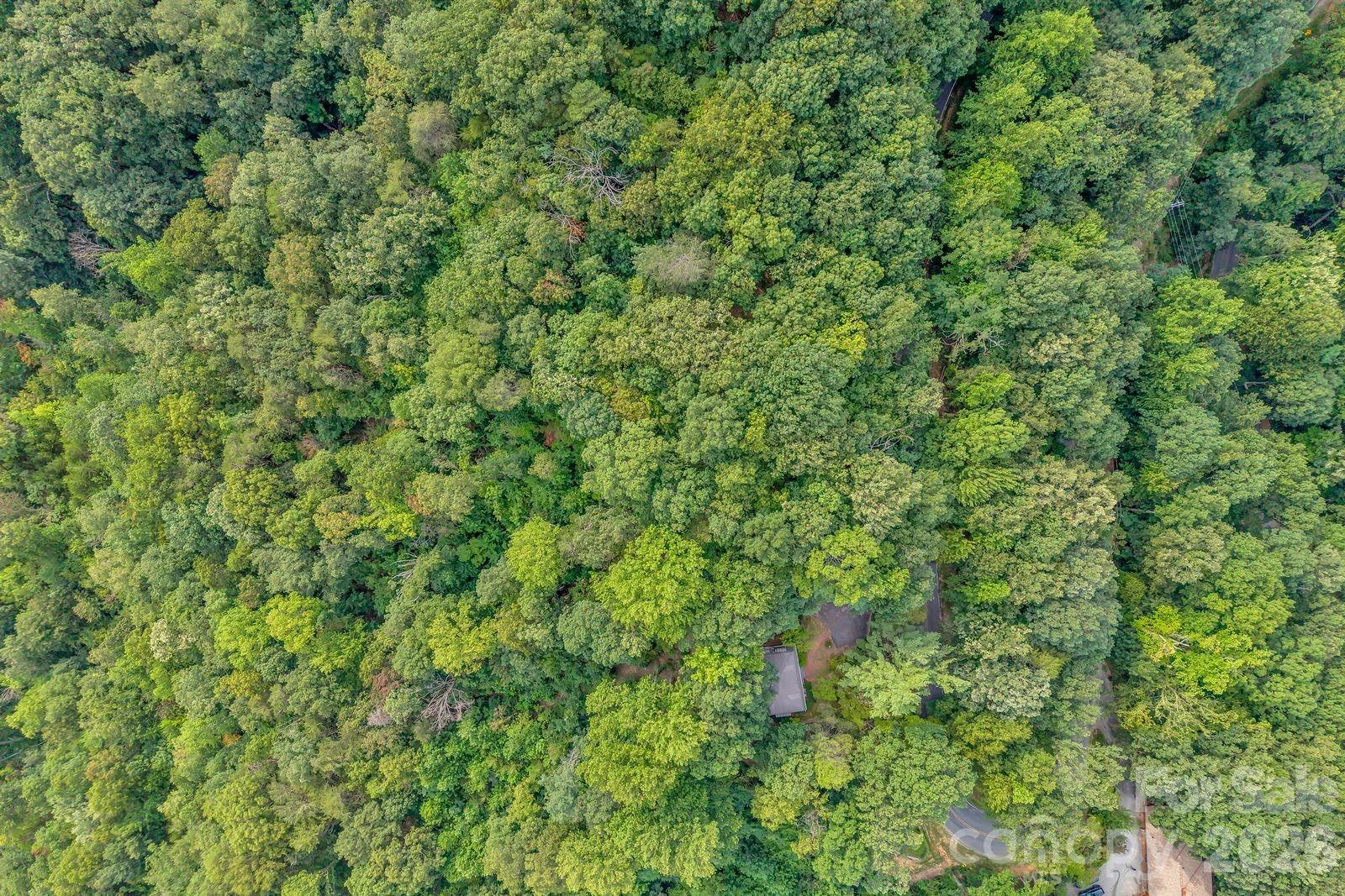 00 Hogback Mountain Road #63 - Photo 7