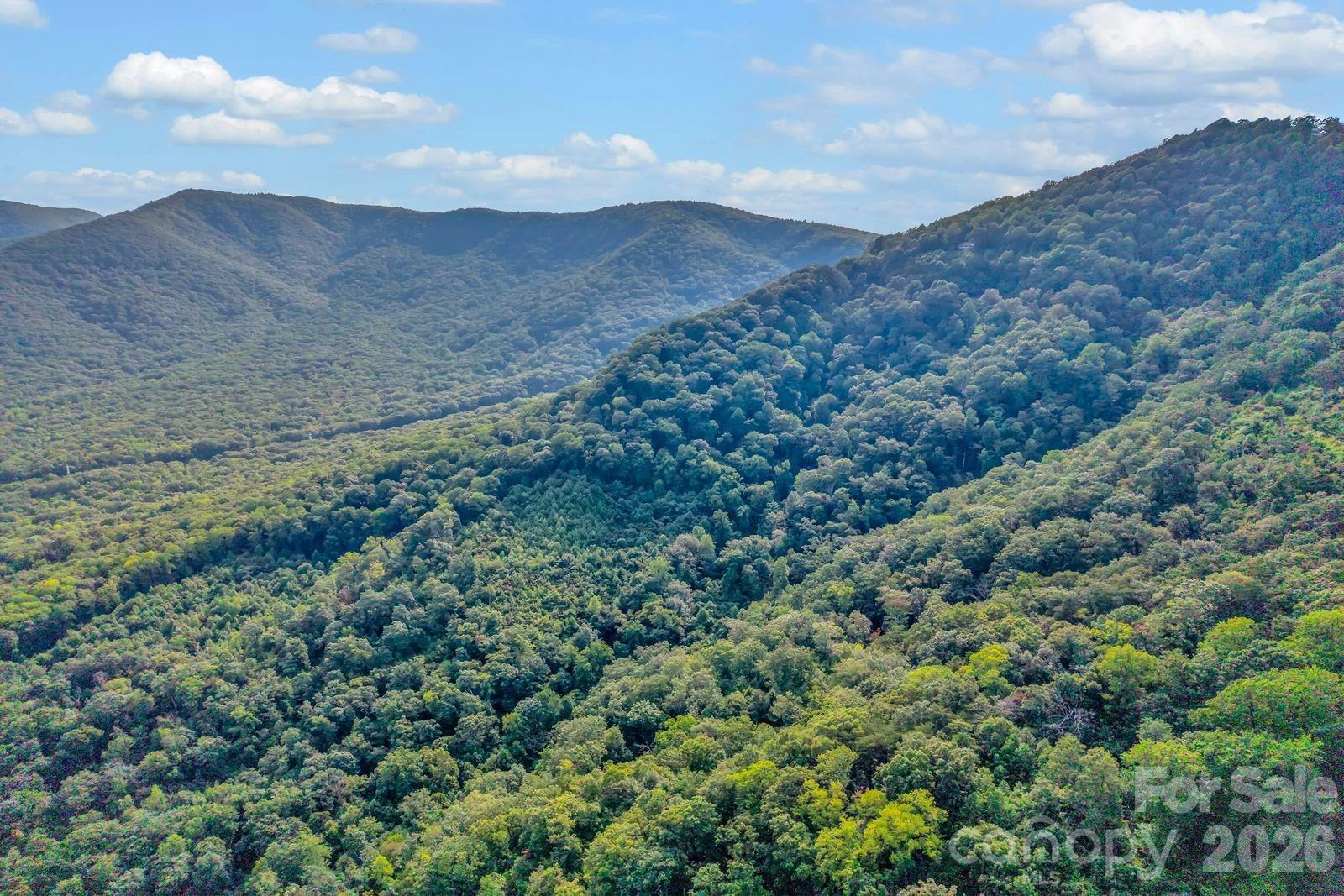 00 Hogback Mountain Road #63 - Photo 8