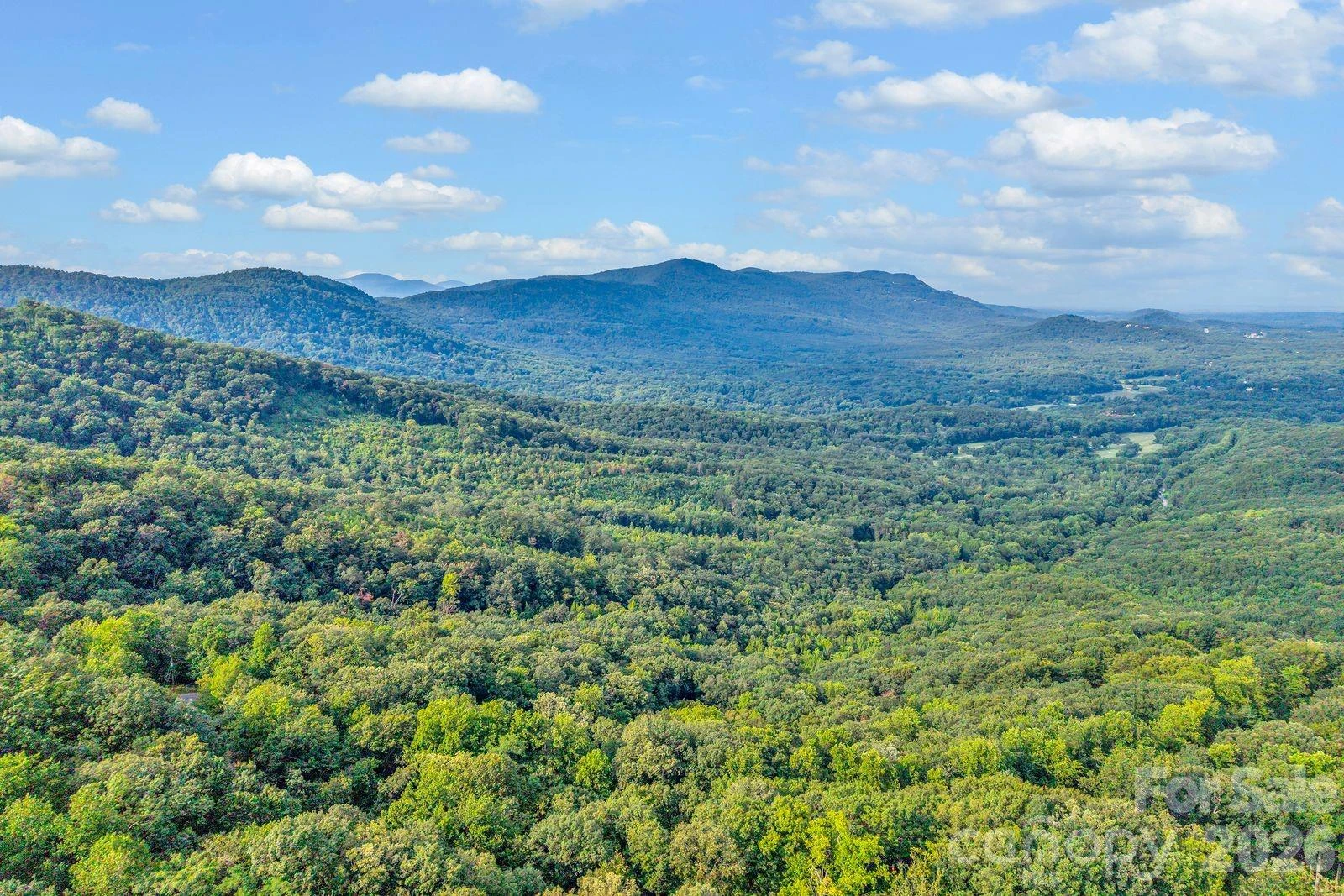 00 Hogback Mountain Road #63 - Photo 9