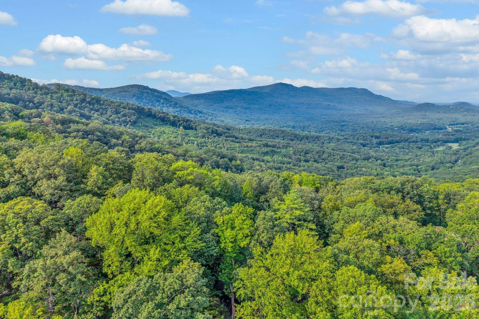 00 Hogback Mountain Road #63 - Photo 10