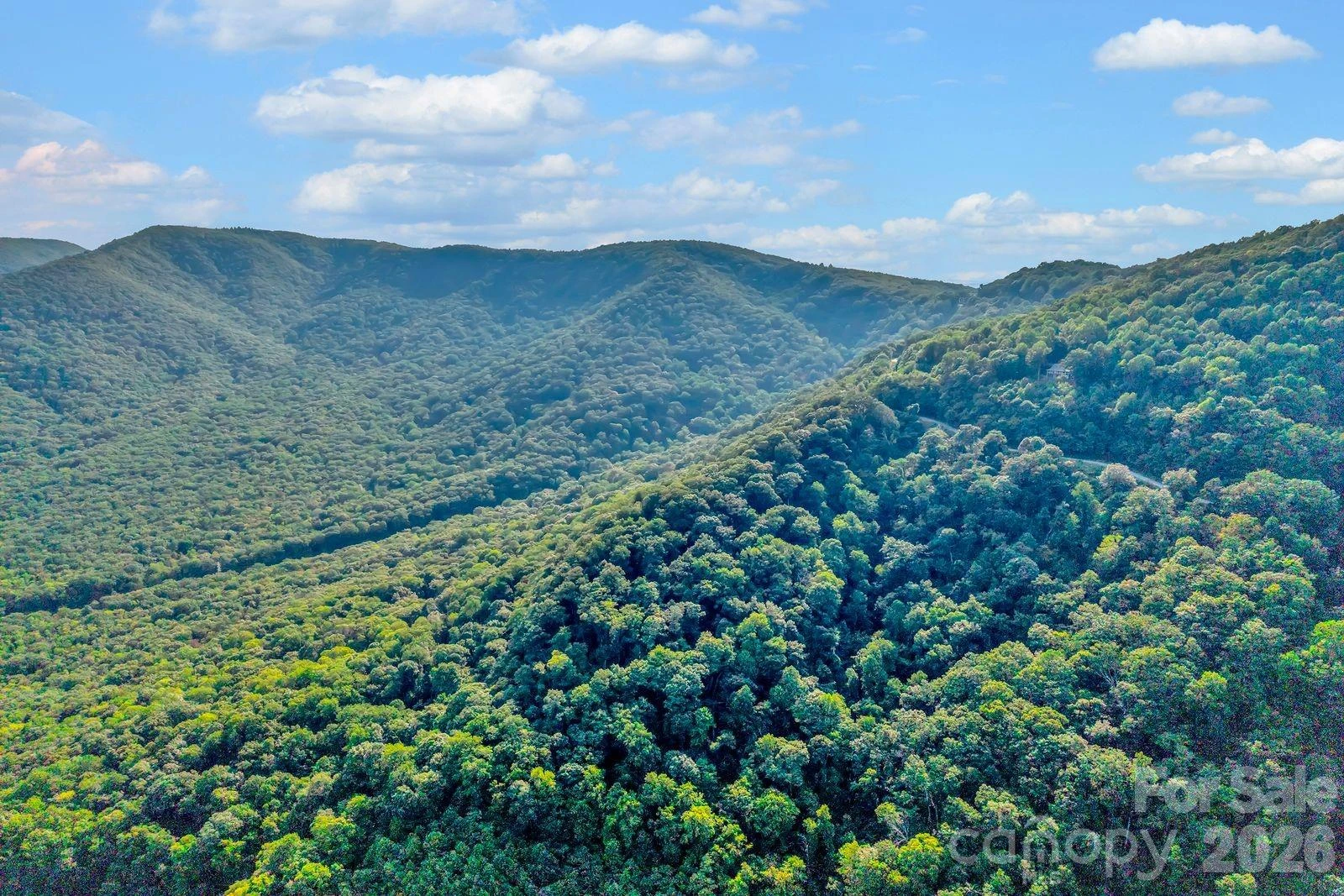 00 Hogback Mountain Road #63 - Photo 12
