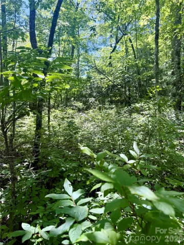 TBD Indian Lake Road
