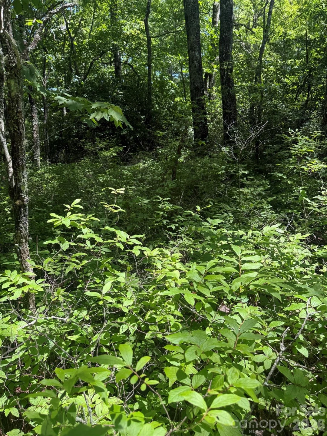 TBD Indian Lake Road #32 - Photo 4