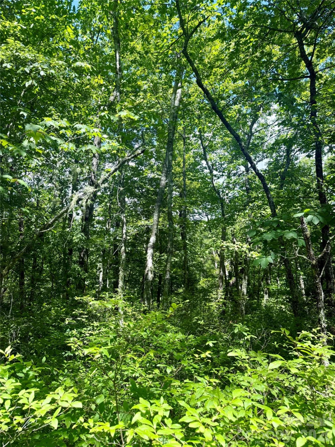 TBD Indian Lake Road #32 - Photo 5