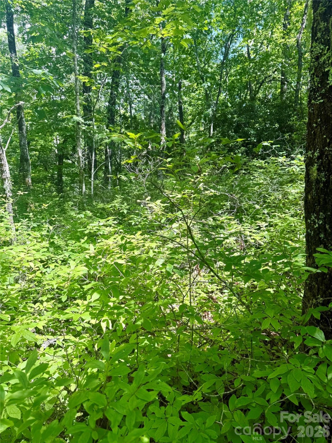 TBD Indian Lake Road #32 - Photo 6