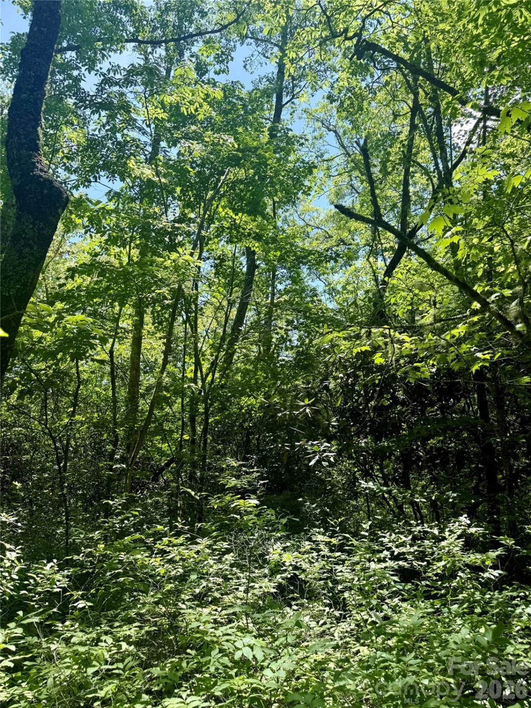 TBD Indian Lake Road #32 - Photo 7