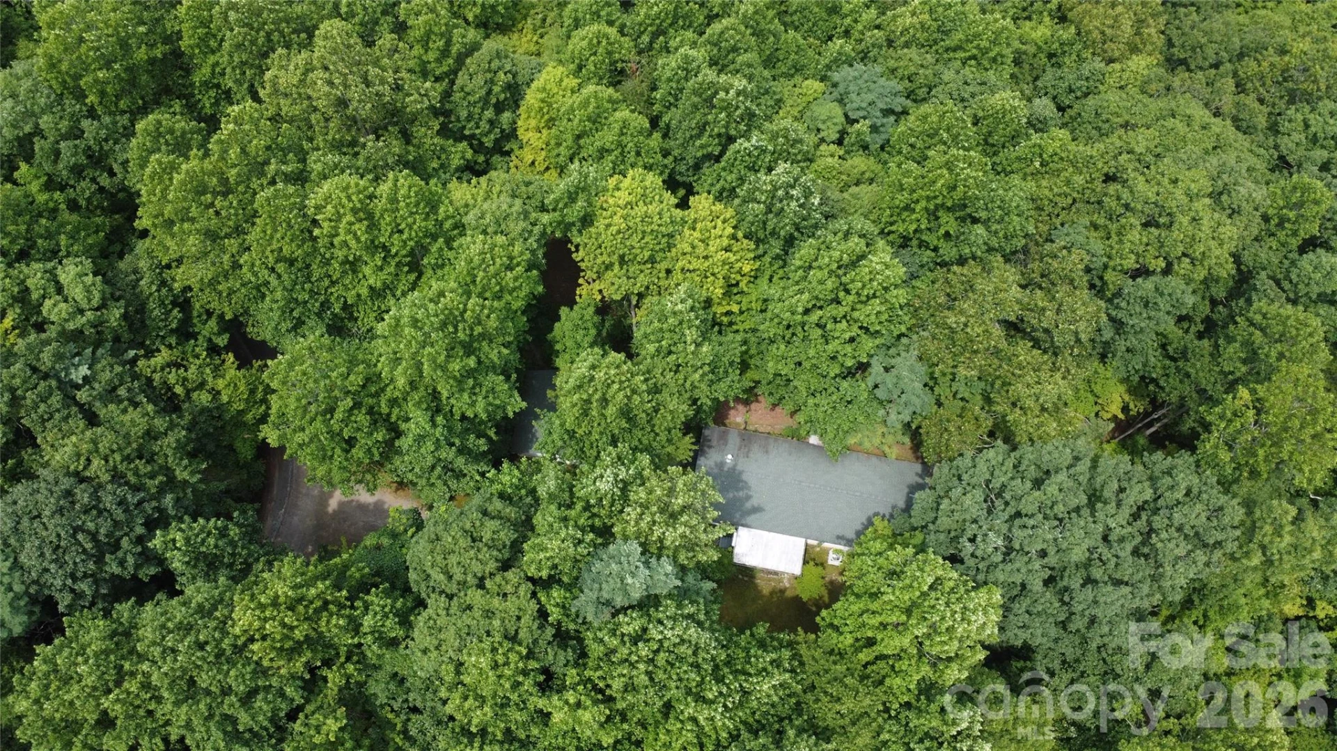 253 Royalwood Drive - Photo 21