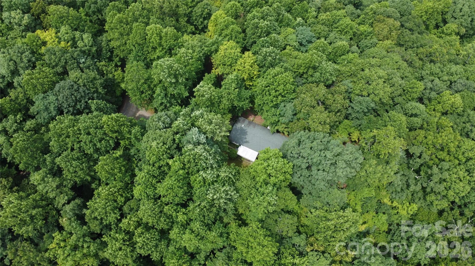 253 Royalwood Drive - Photo 22