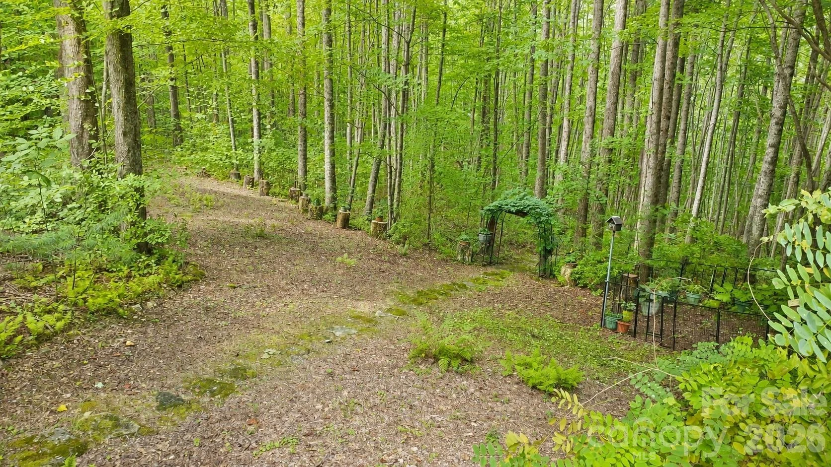 253 Royalwood Drive - Photo 38