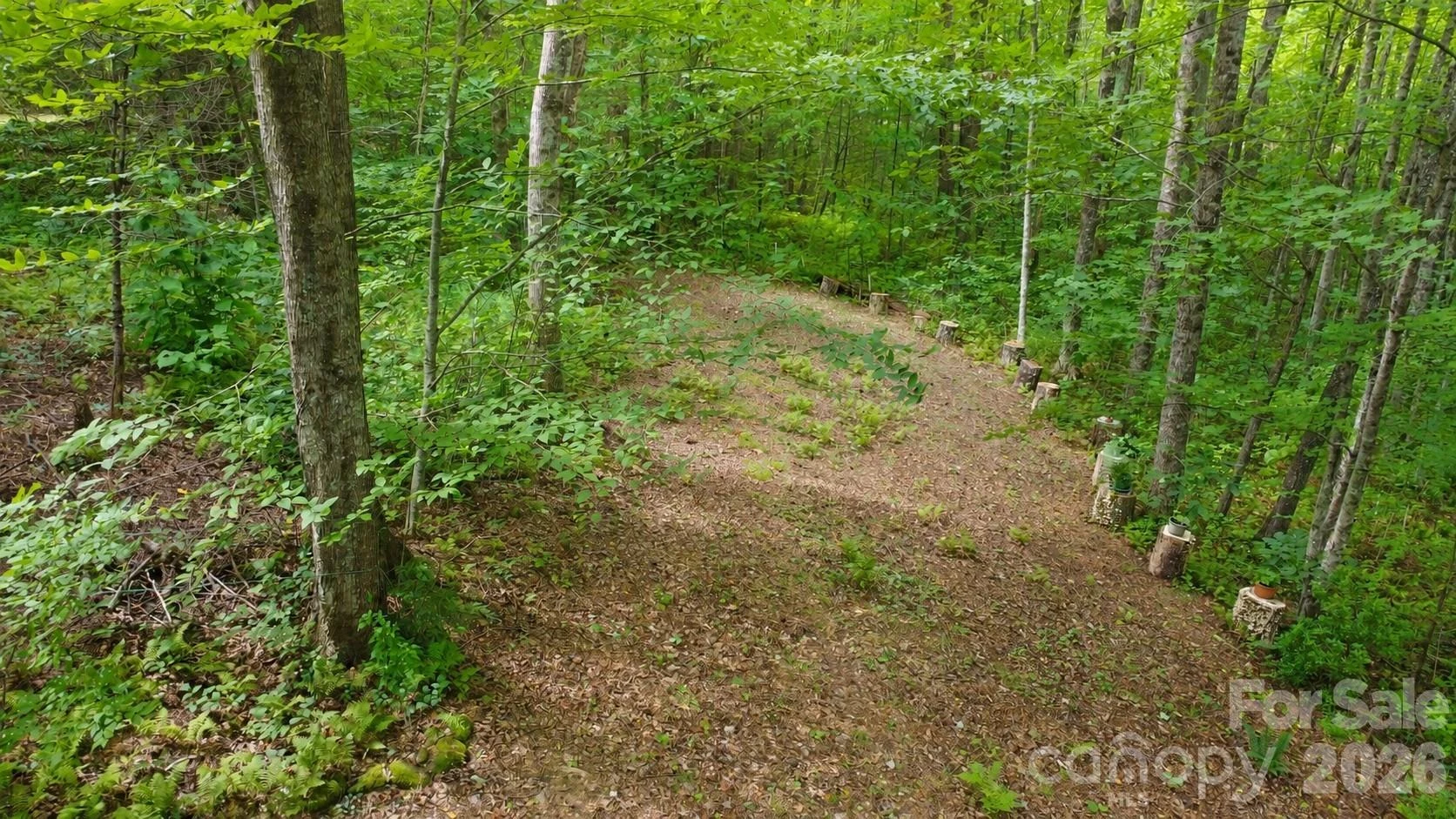 253 Royalwood Drive - Photo 41
