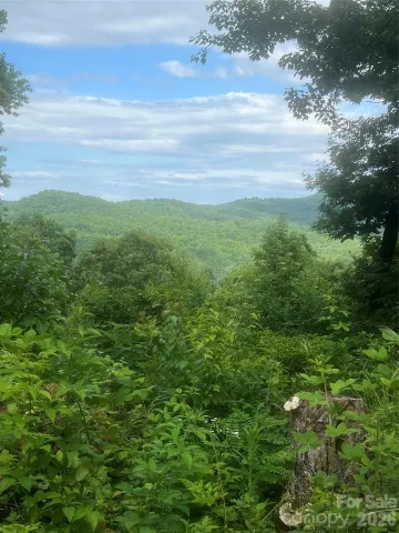 71, 72, 73 High Peak Road, Hendersonville, NC, 28792