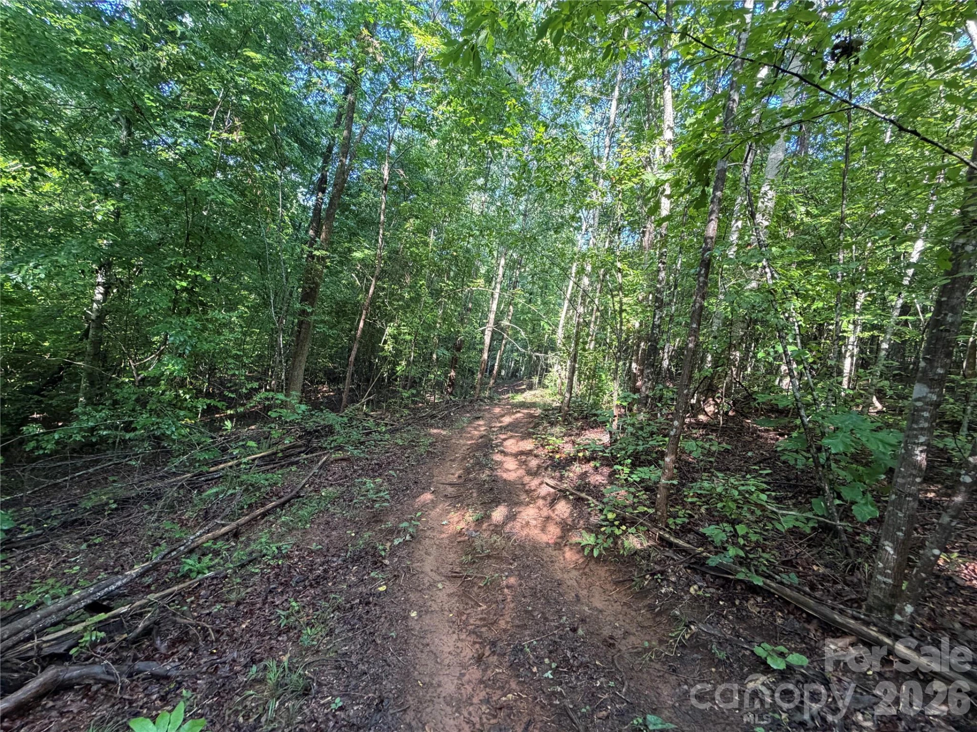 00 226 Highway S - Photo 10