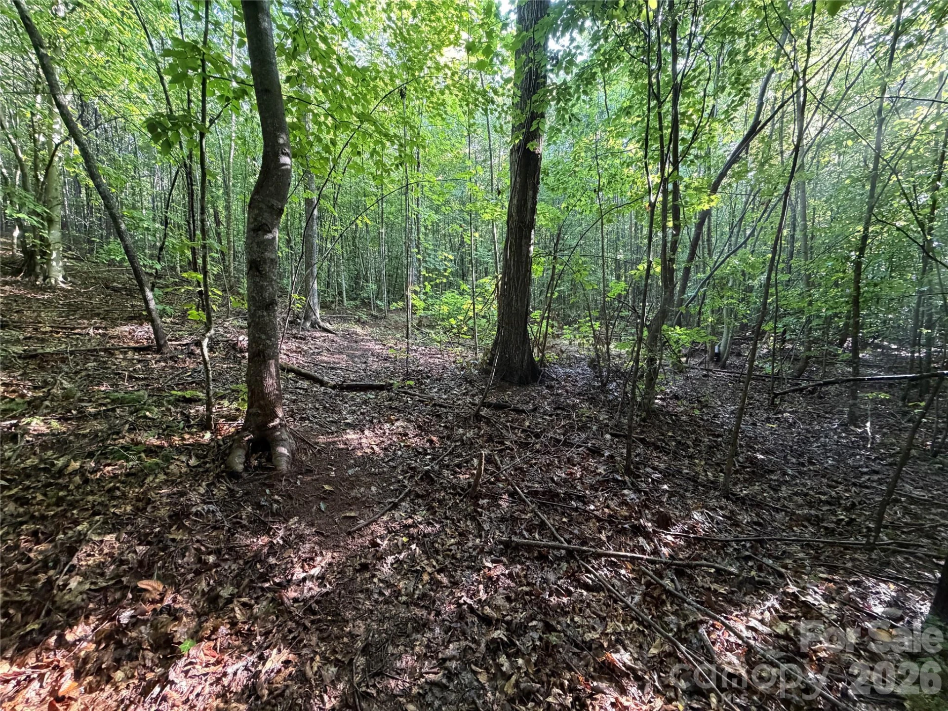 00 226 Highway S - Photo 11