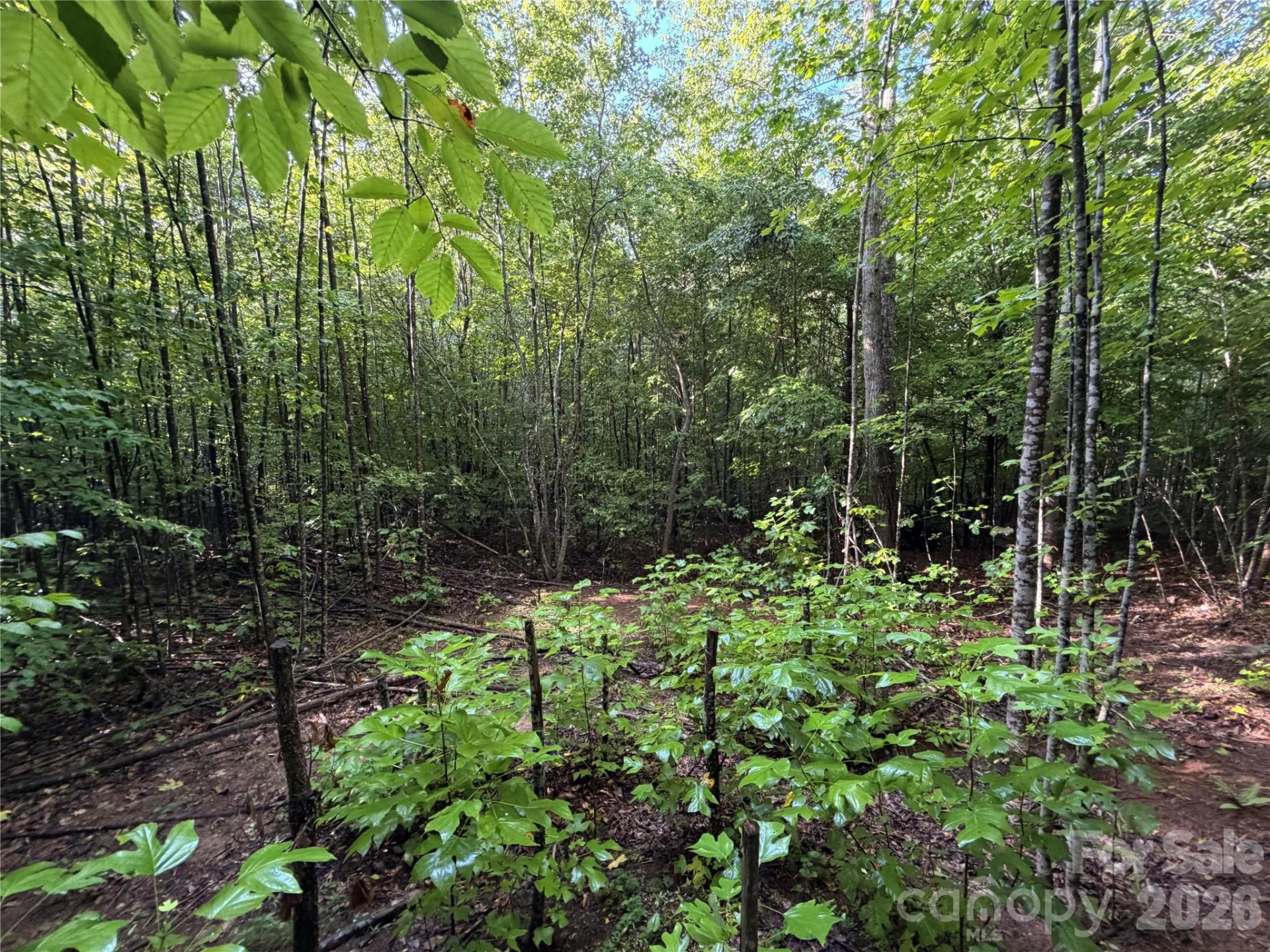 00 226 Highway S - Photo 14