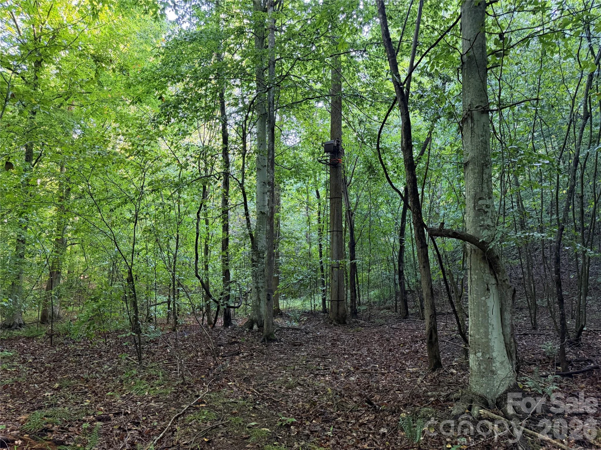 00 226 Highway S - Photo 24