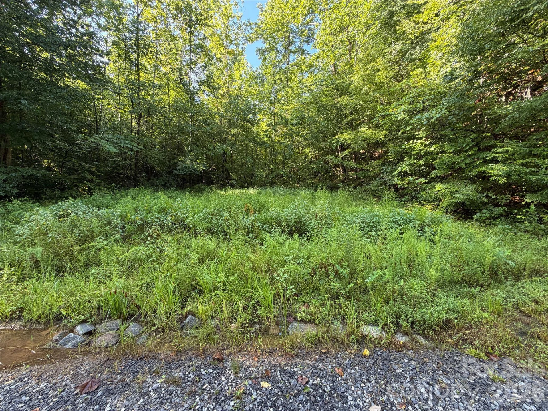 00 226 Highway S - Photo 25