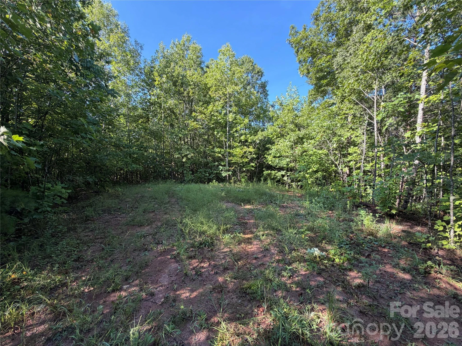 00 226 Highway S - Photo 33
