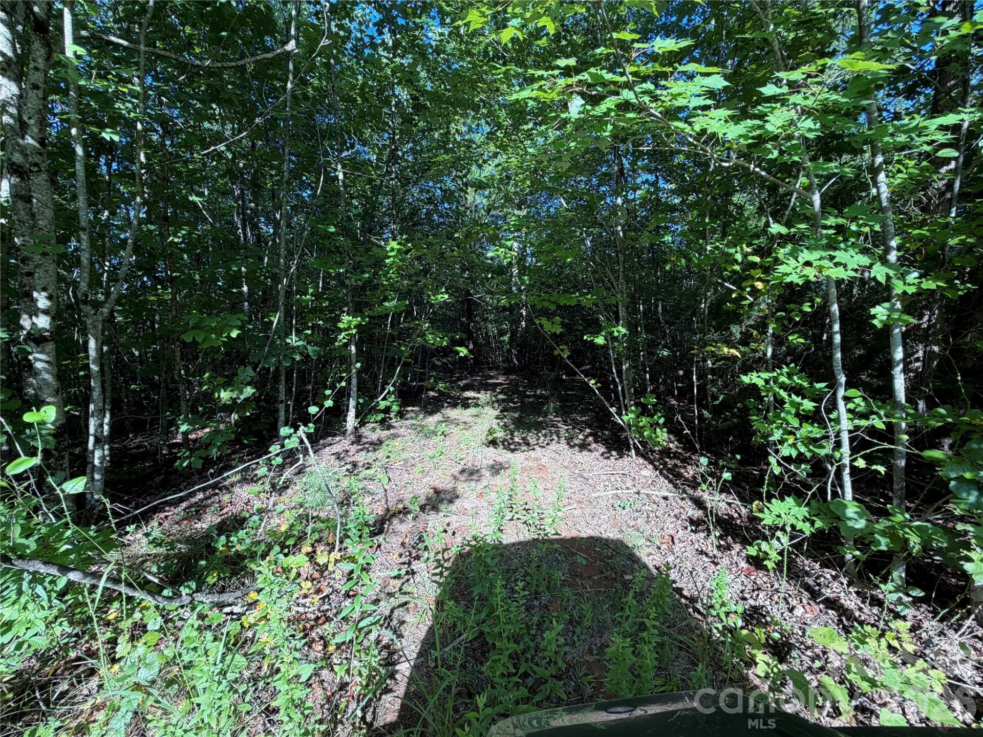 00 226 Highway S - Photo 34
