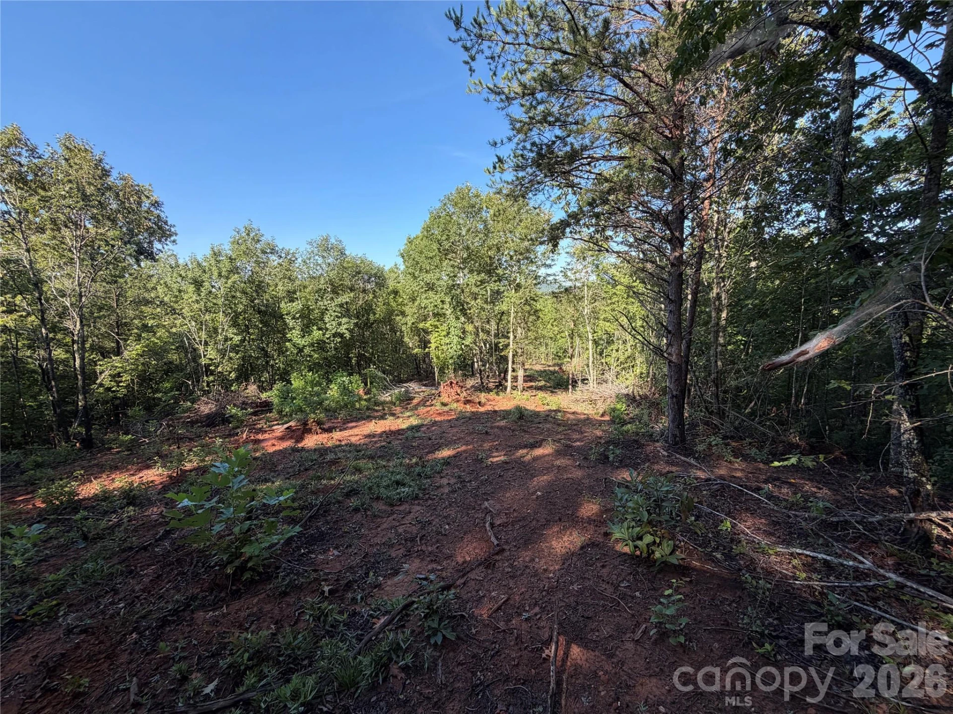 00 226 Highway S - Photo 36