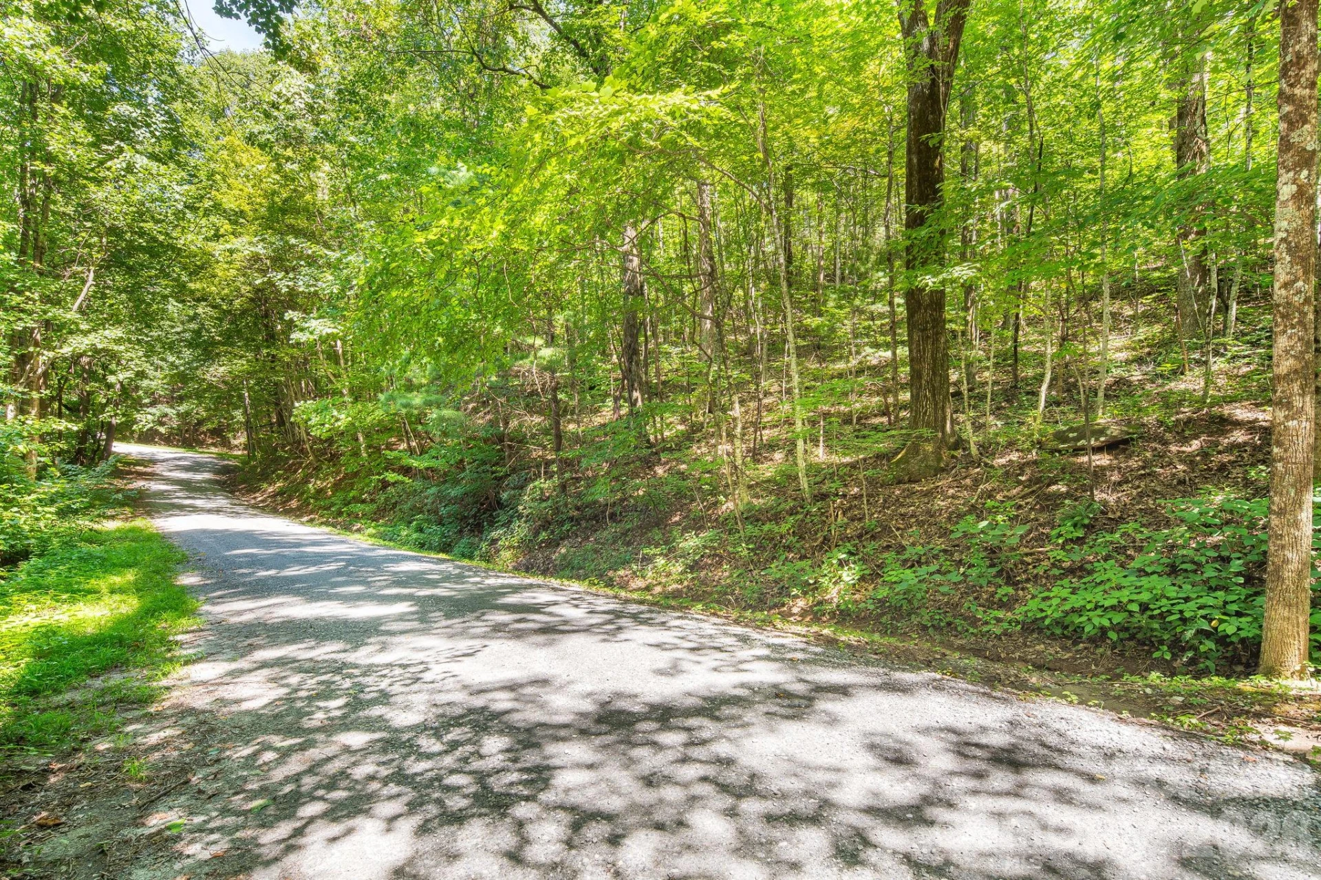 LOT 341 Melrose Mountain Road - Photo 5