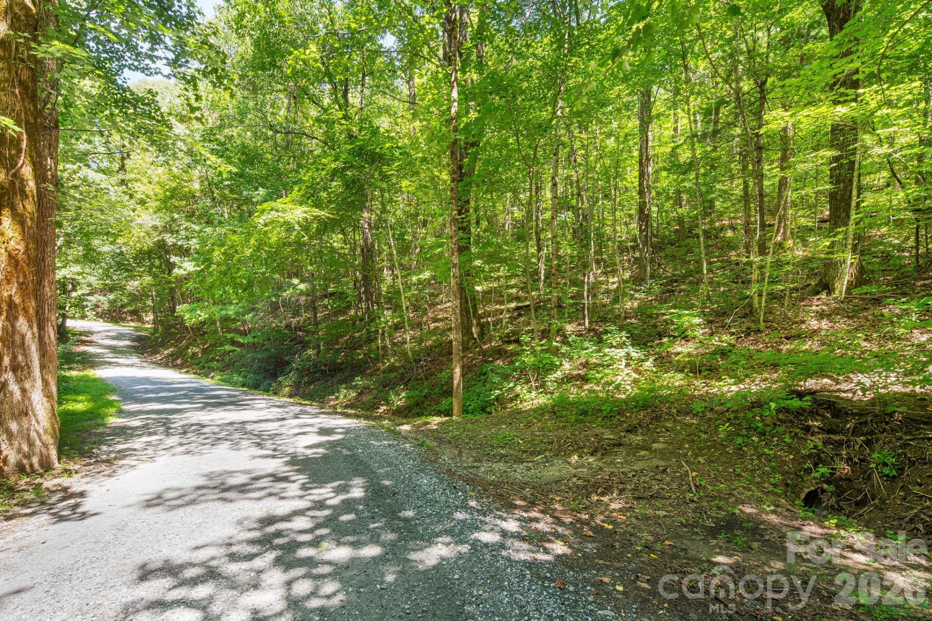 LOT 341 Melrose Mountain Road - Photo 6