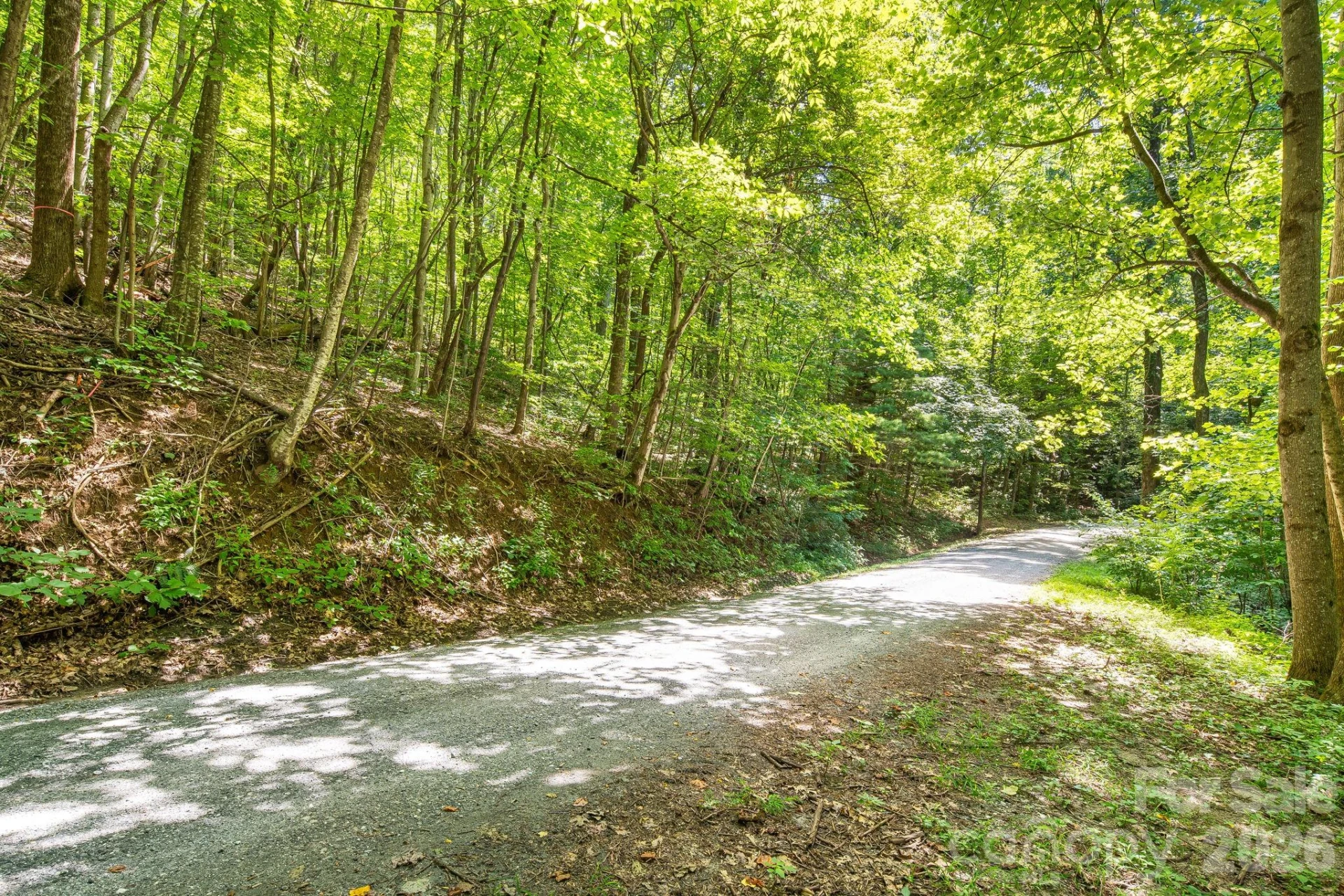 LOT 341 Melrose Mountain Road - Photo 7