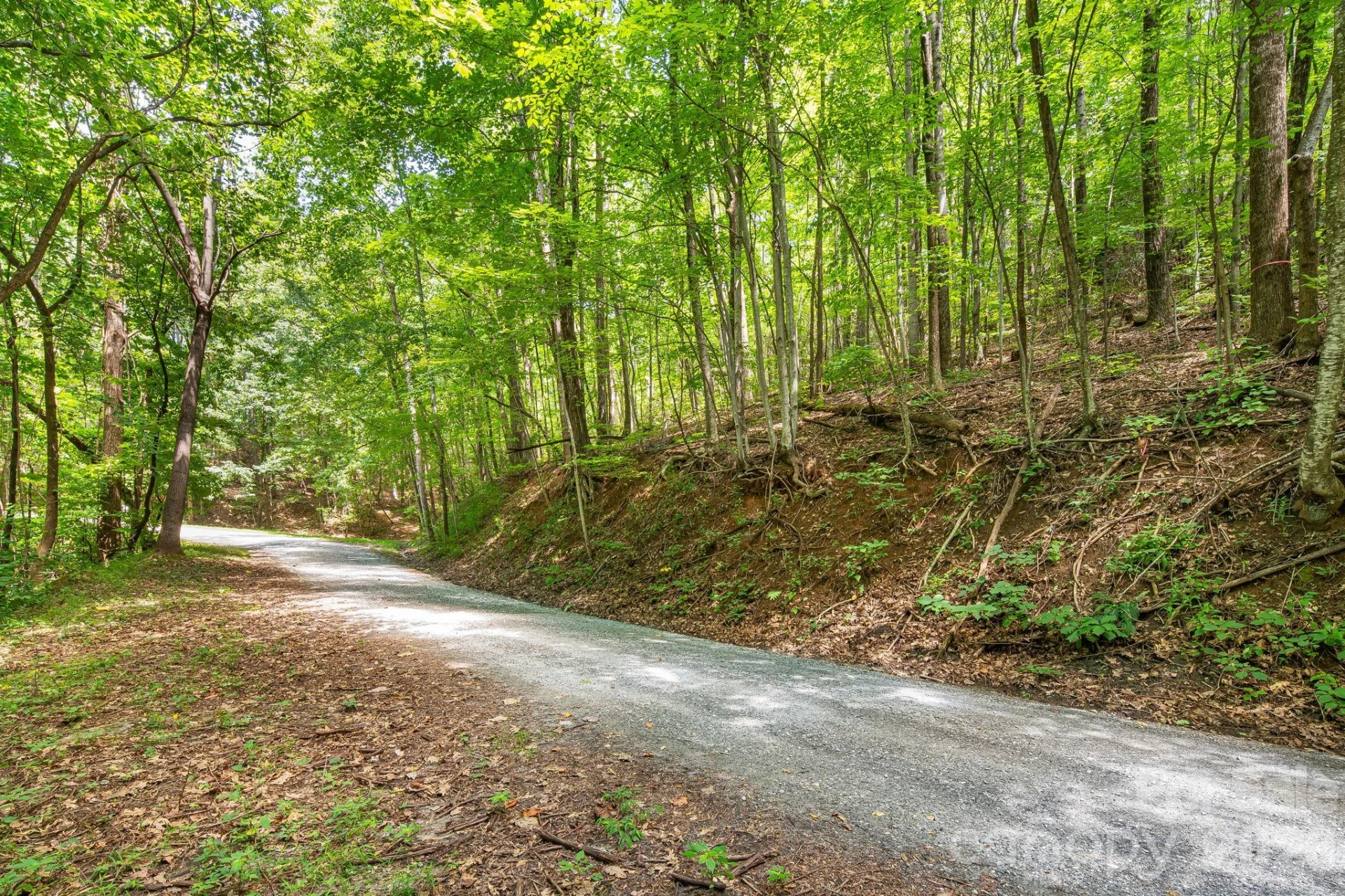 LOT 340 Melrose Mountain Road #340 - Photo 6