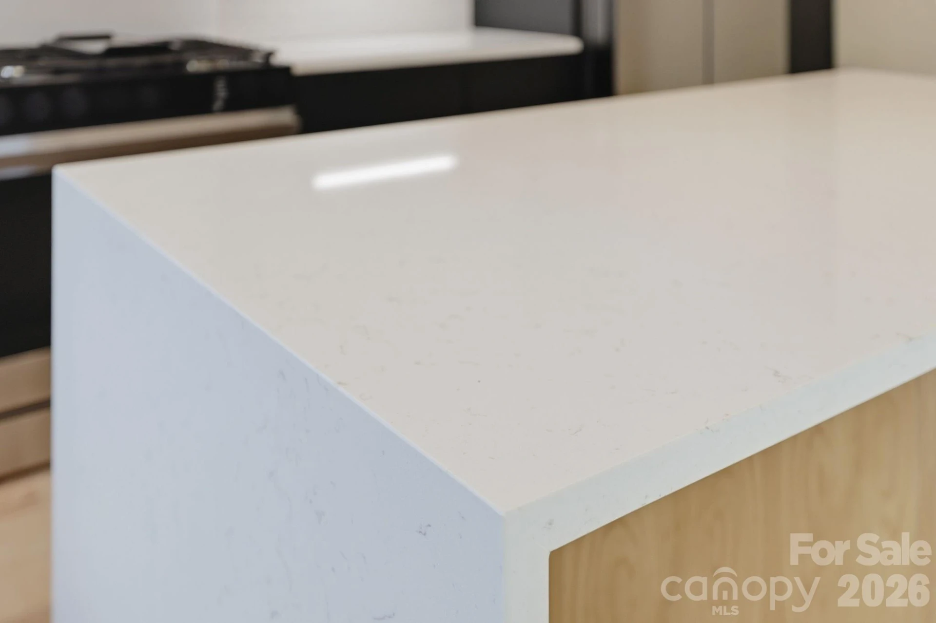 45 Johnson Drive #4 - Photo 15