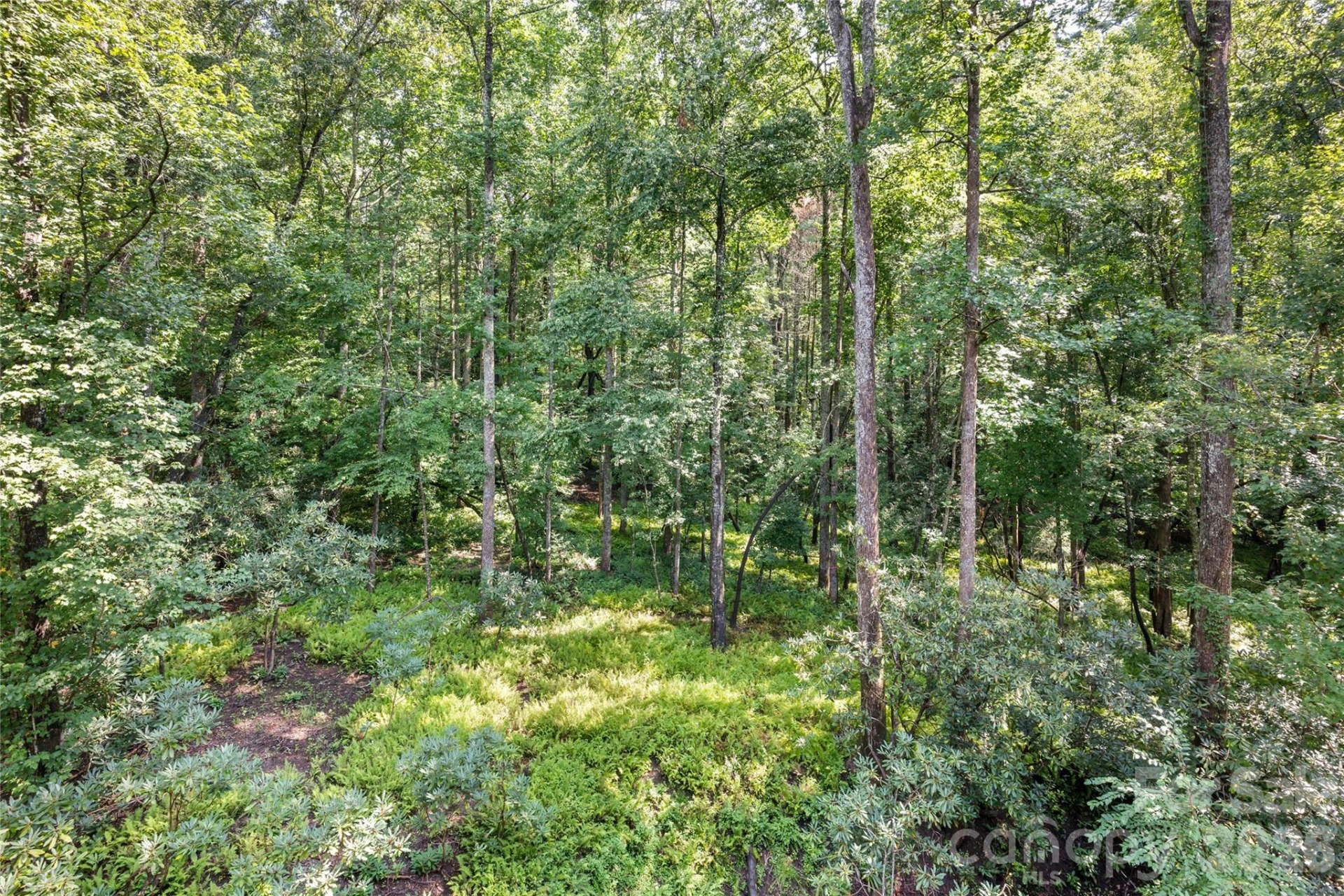 55 Settlers Cove - Photo 44