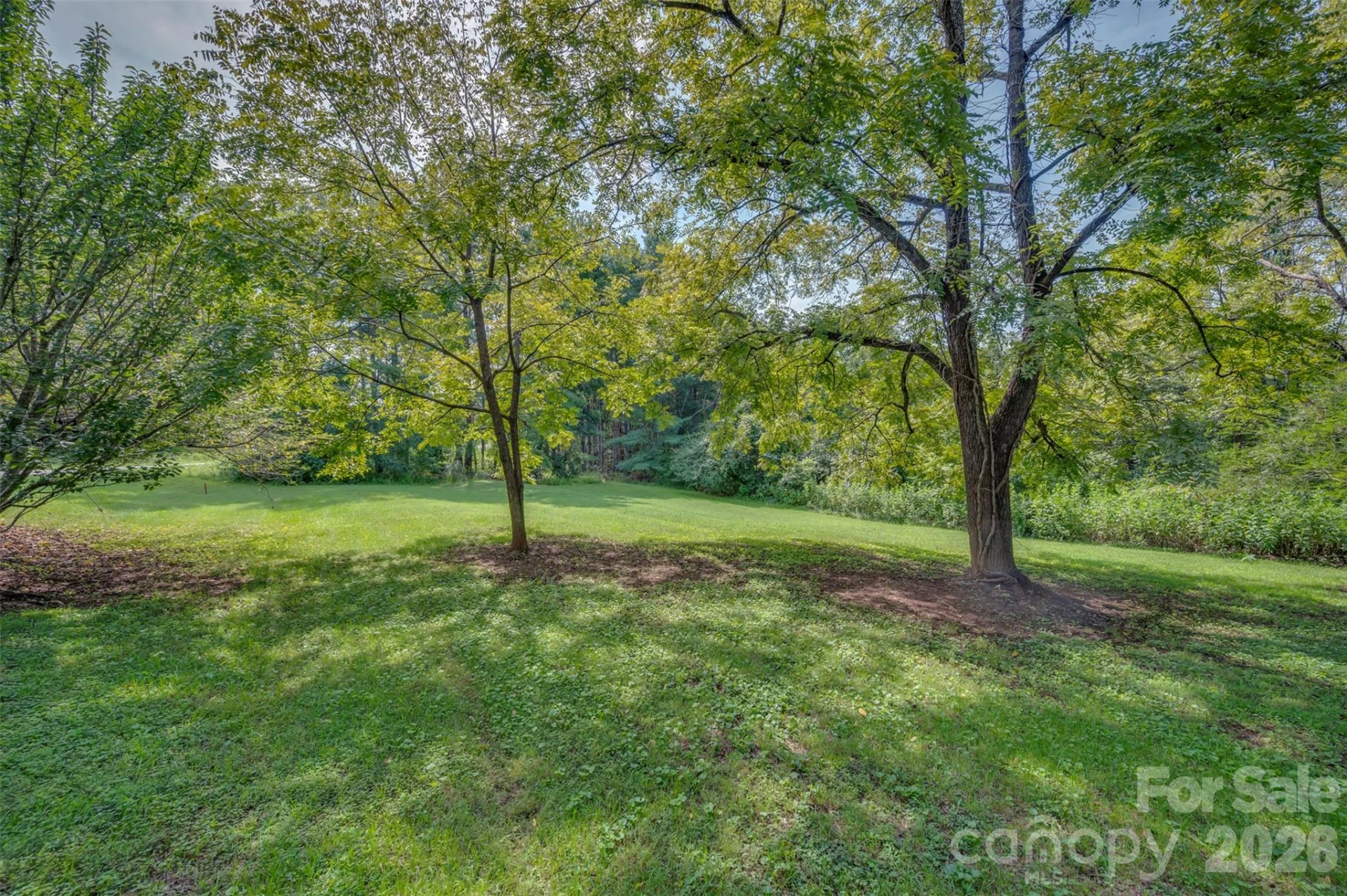 2300 Whitesides Road - Photo 36