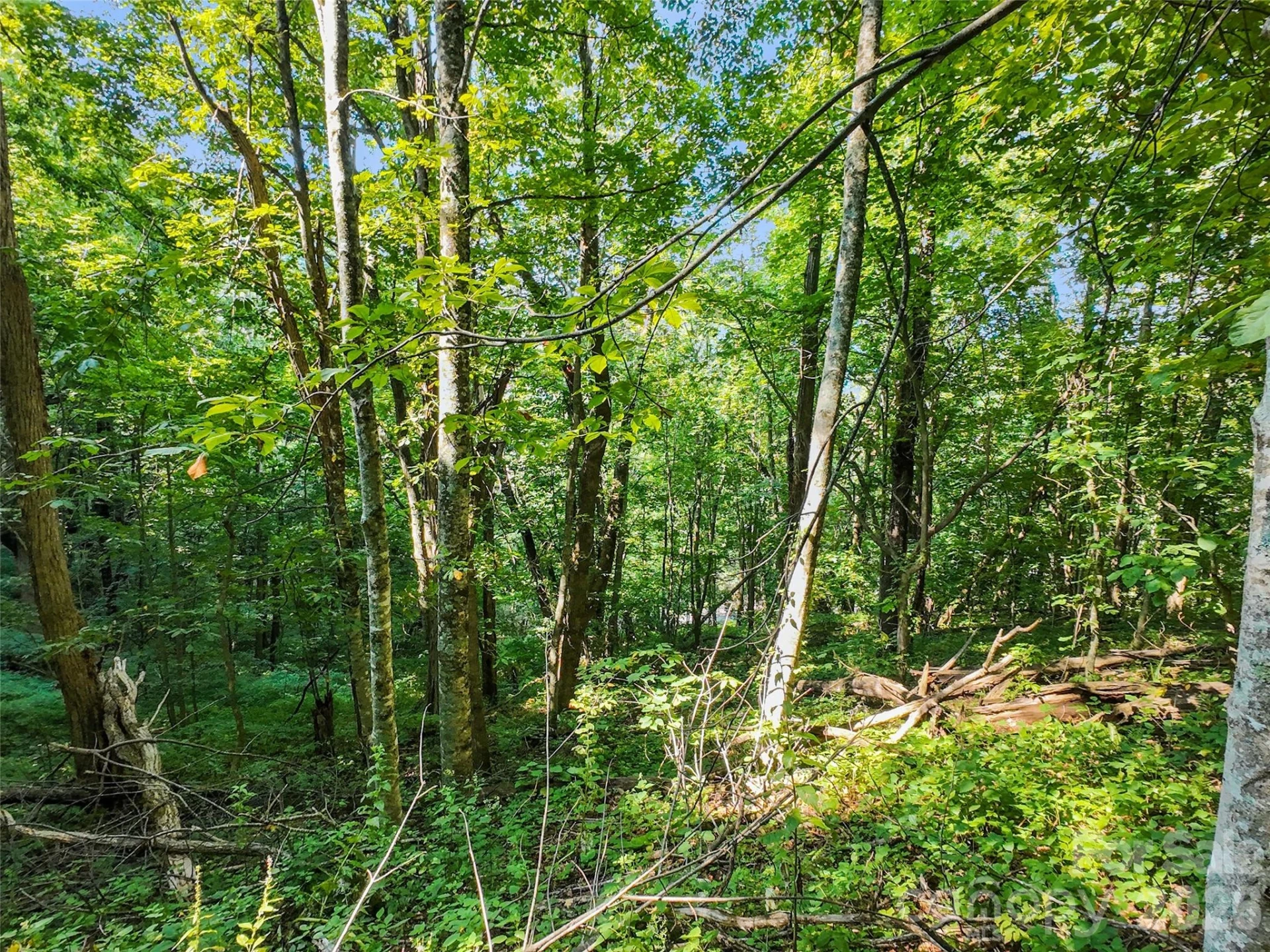 Lot #69 Twisted Trail #69 - Photo 9