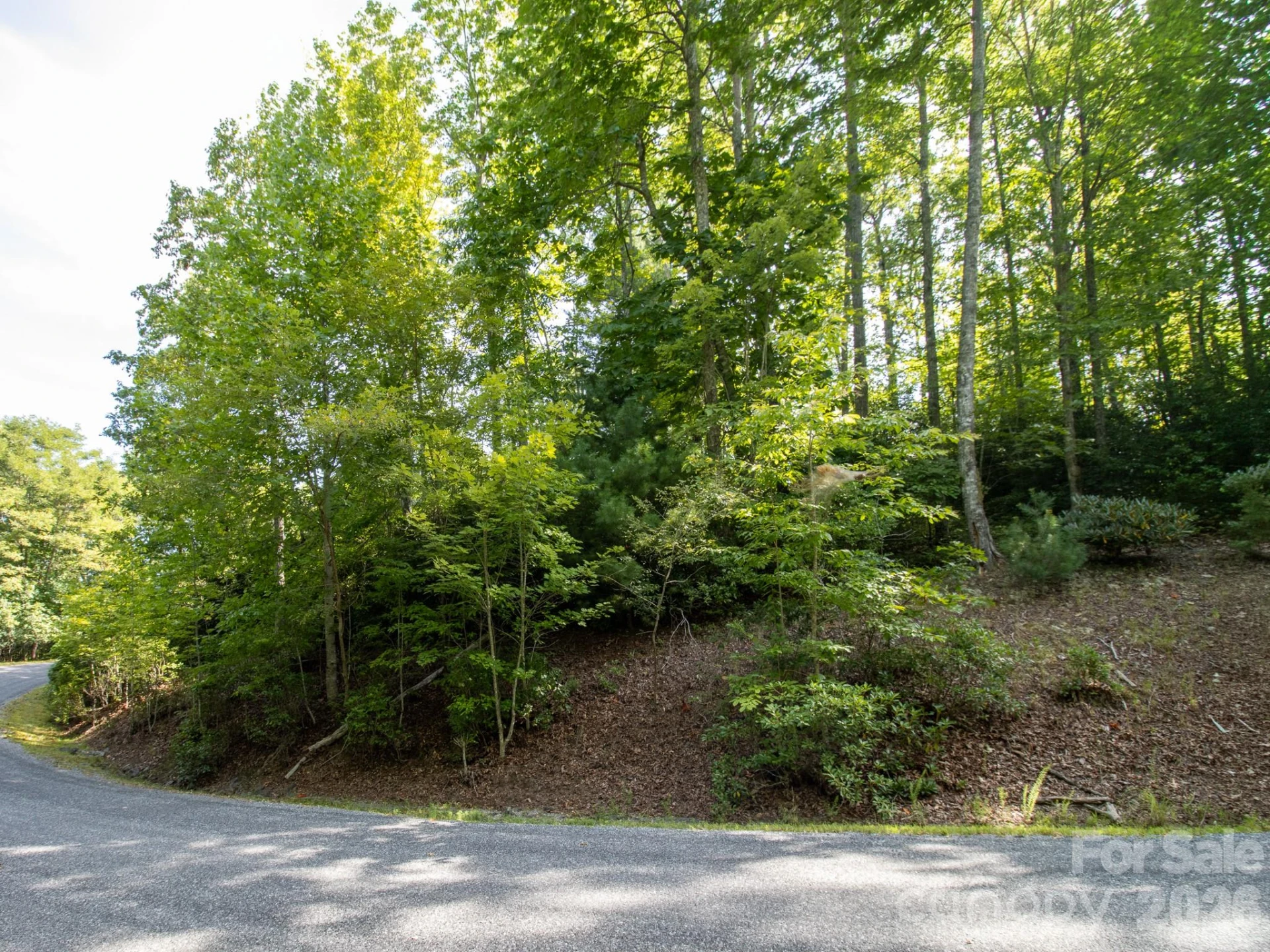TBD Kelly Mountain Road #19 - Photo 3