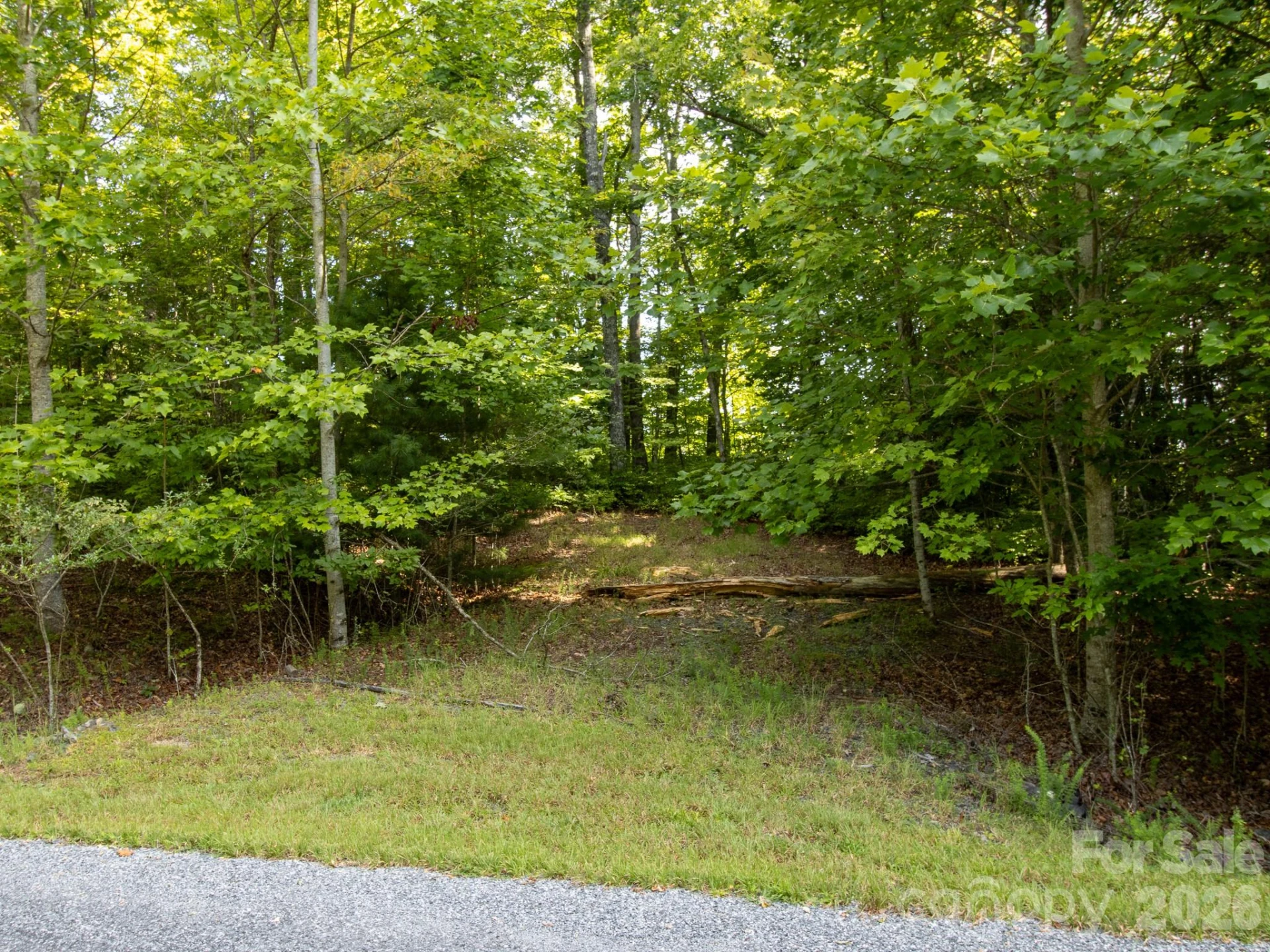 TBD Kelly Mountain Road #19 - Photo 4